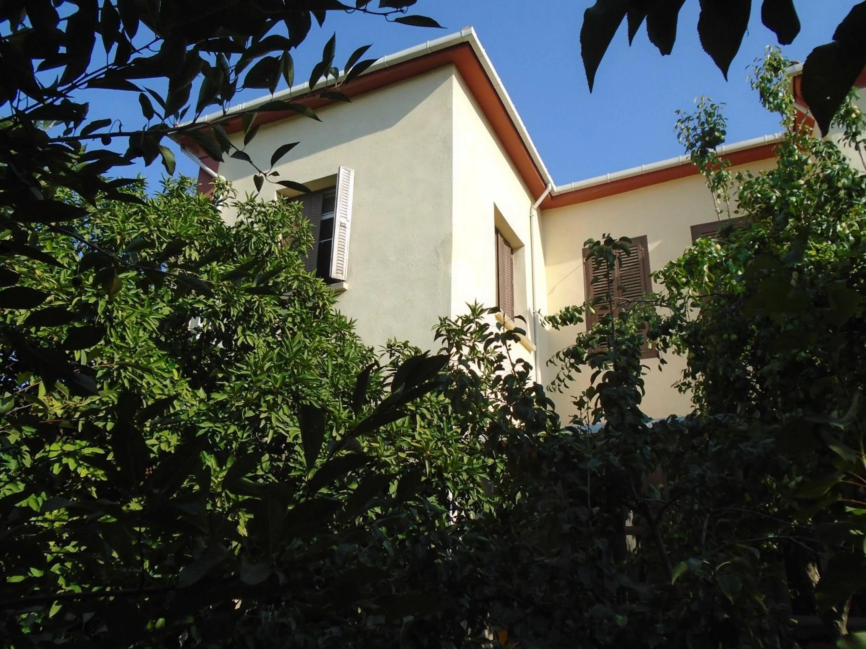Deluxe Double Room in Lotus Garden Hostel Izmir