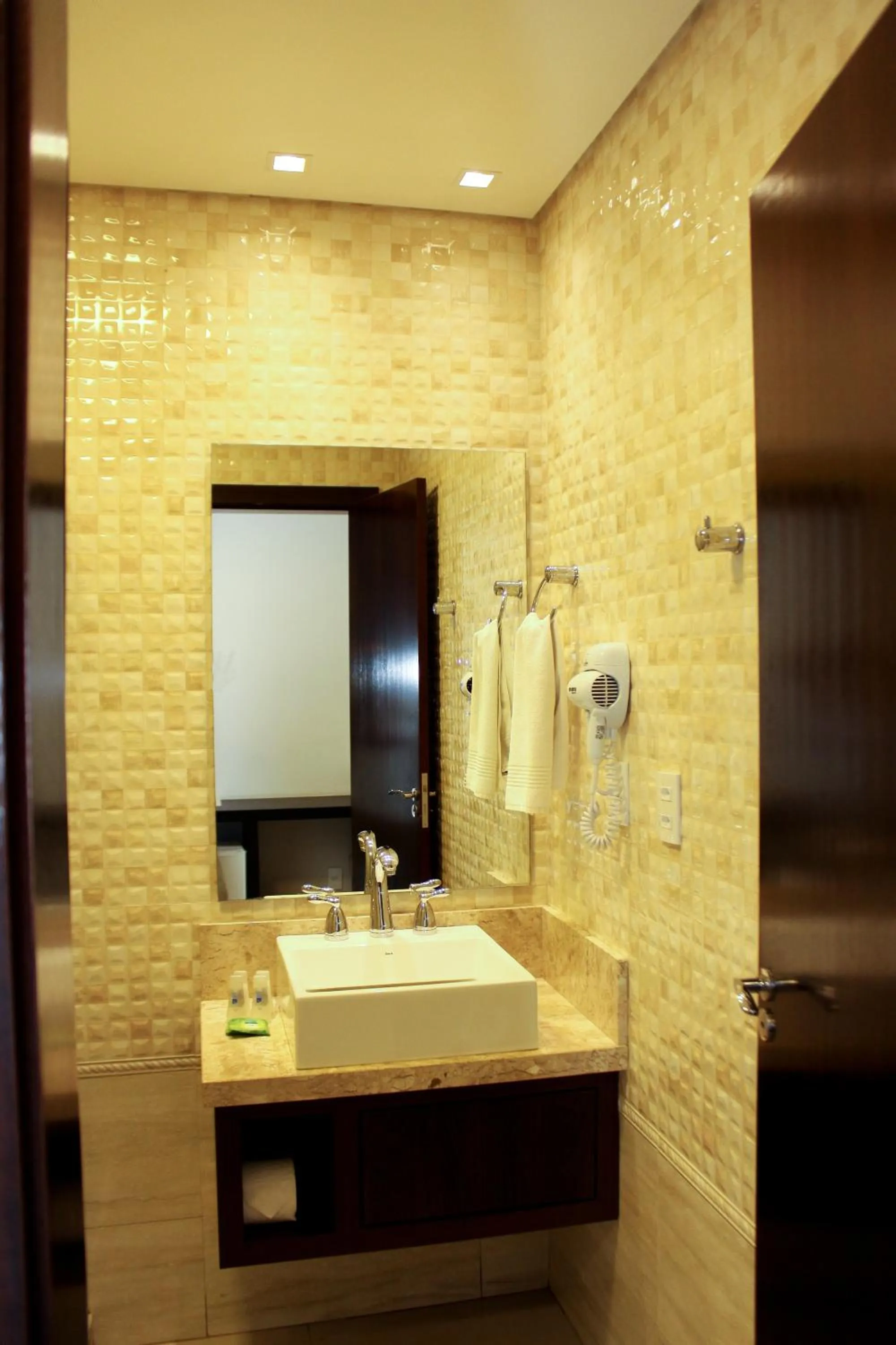 Luxury Apartment - single occupancy in Blue Hill Hotel