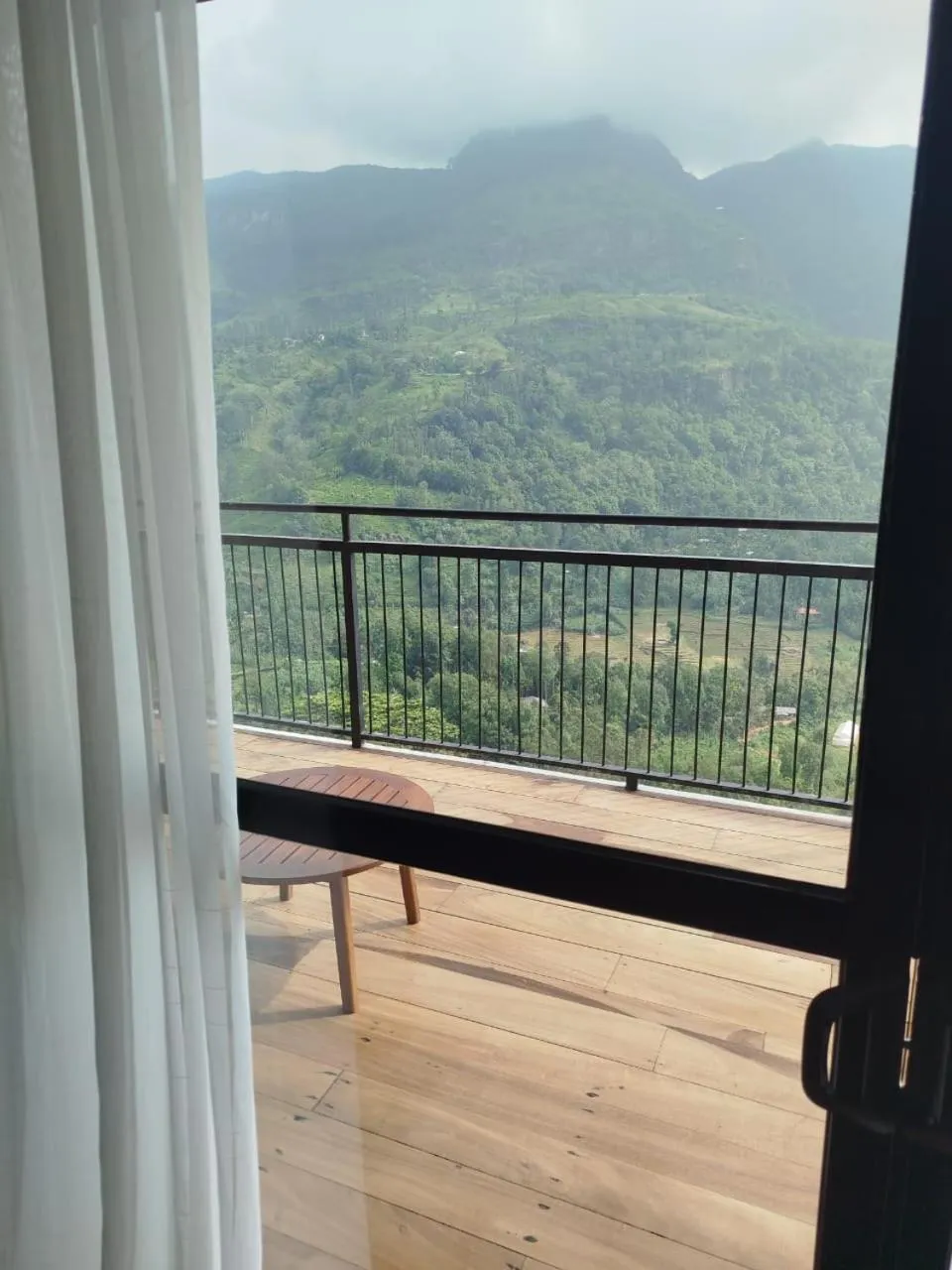 Deluxe Suite in Oak Ray Tea Bush