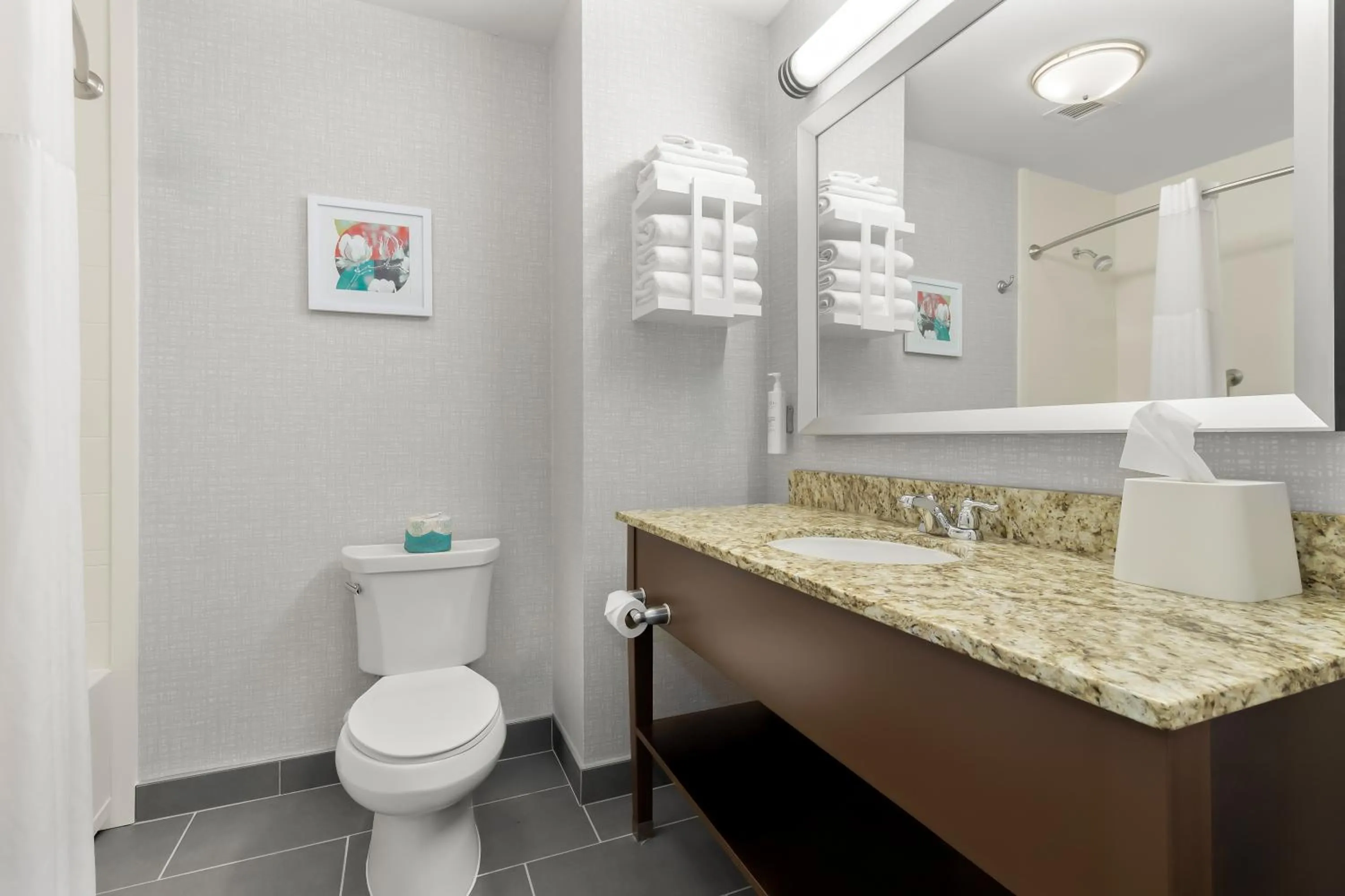 King Studio Suite - Non Smoking in Hampton Inn & Suites - Hartsville, SC