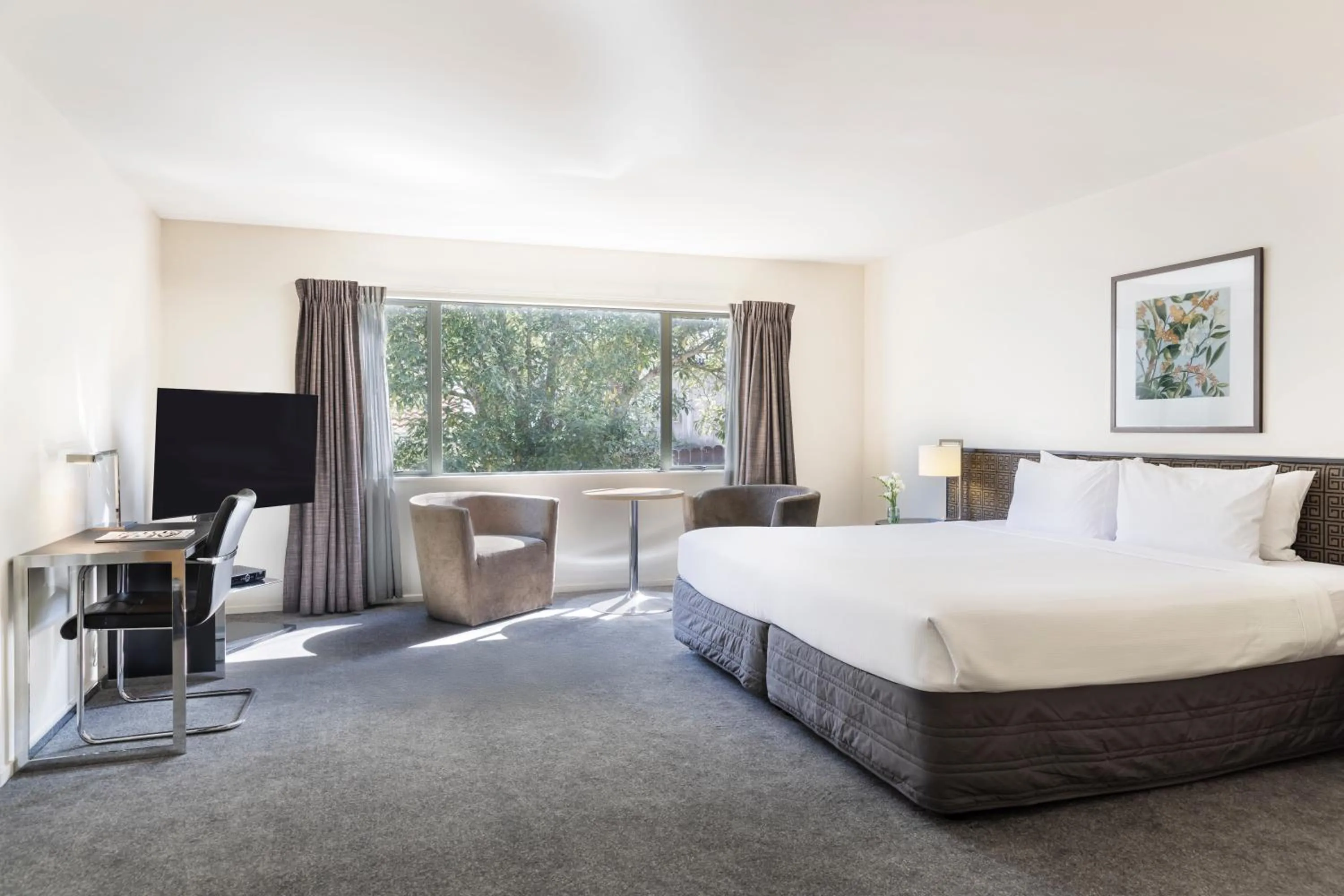 The Edit in Edit Auckland Greenlane