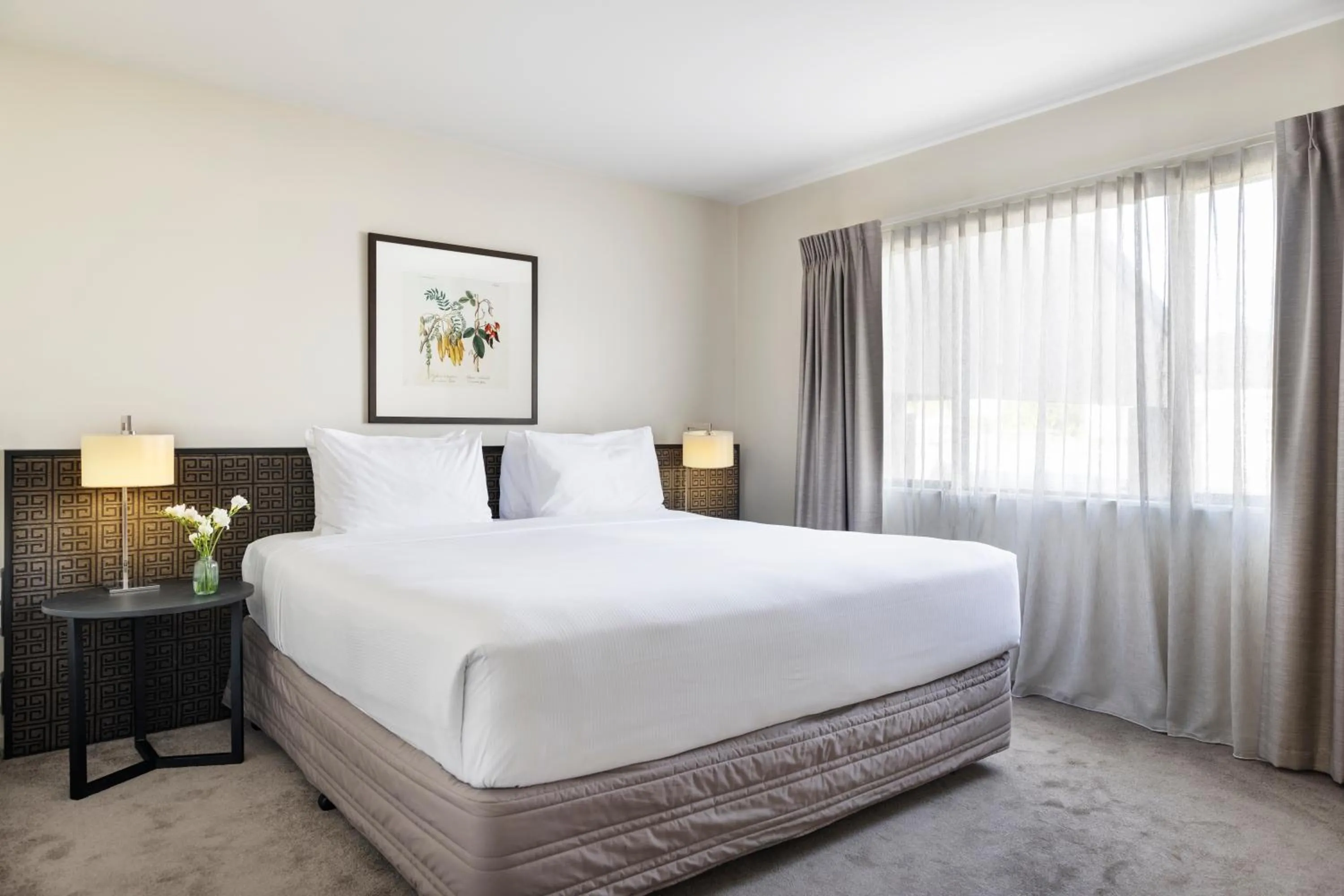 Suite Dreams in Edit Auckland Greenlane