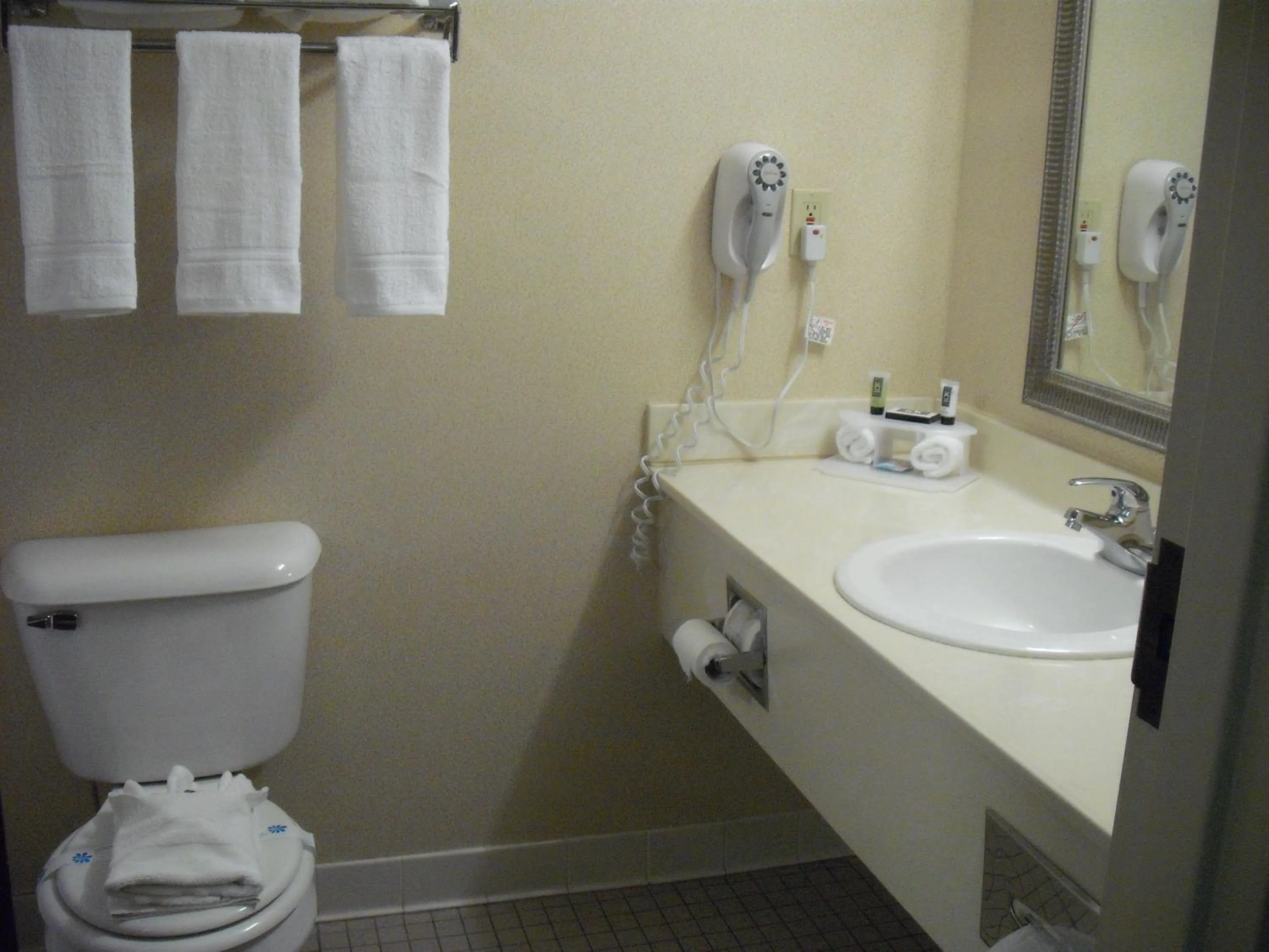 King Suite with Spa Bath in Mountain Inn & Suites