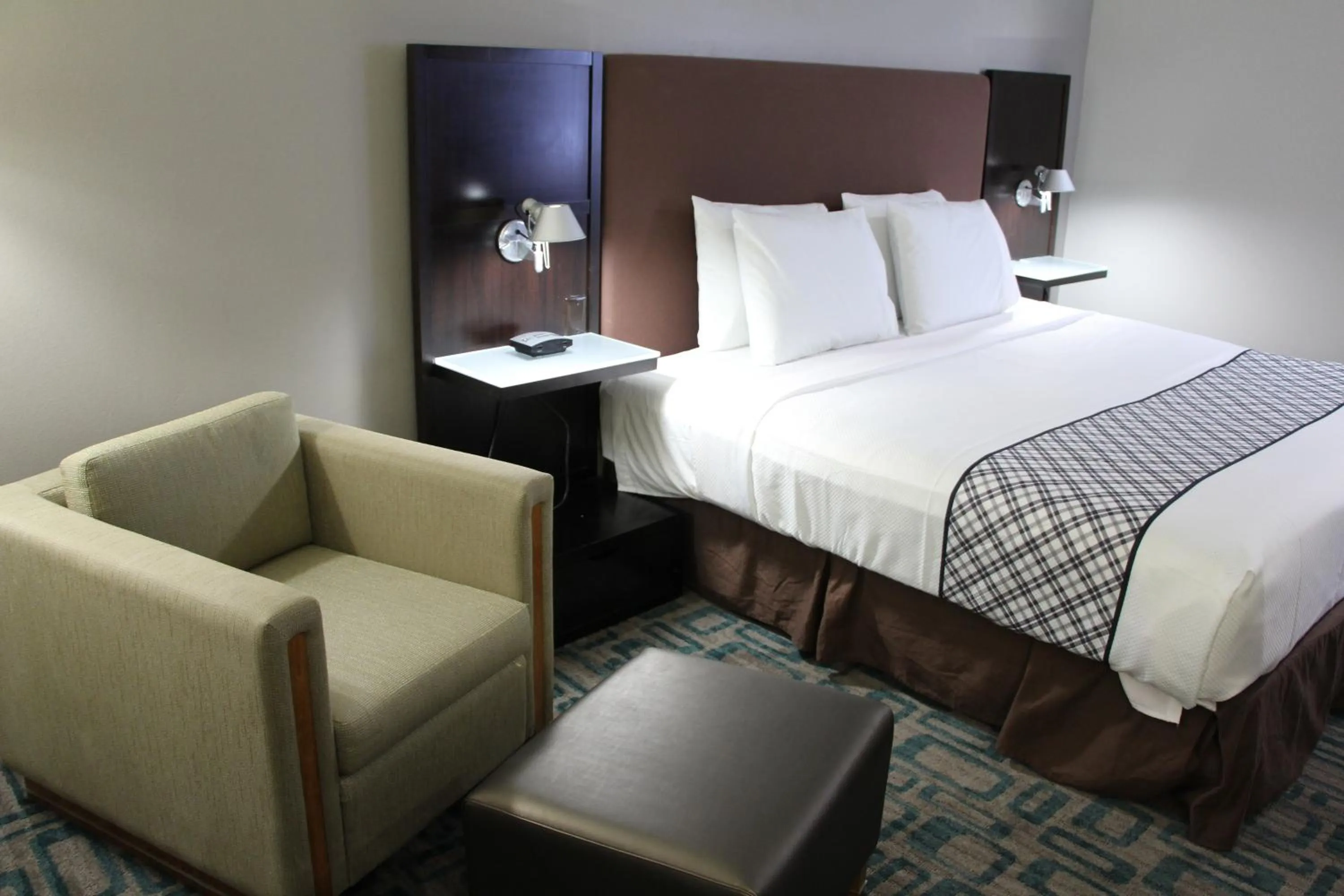 Deluxe King Suite - single occupancy in Westbridge Inn & Suites