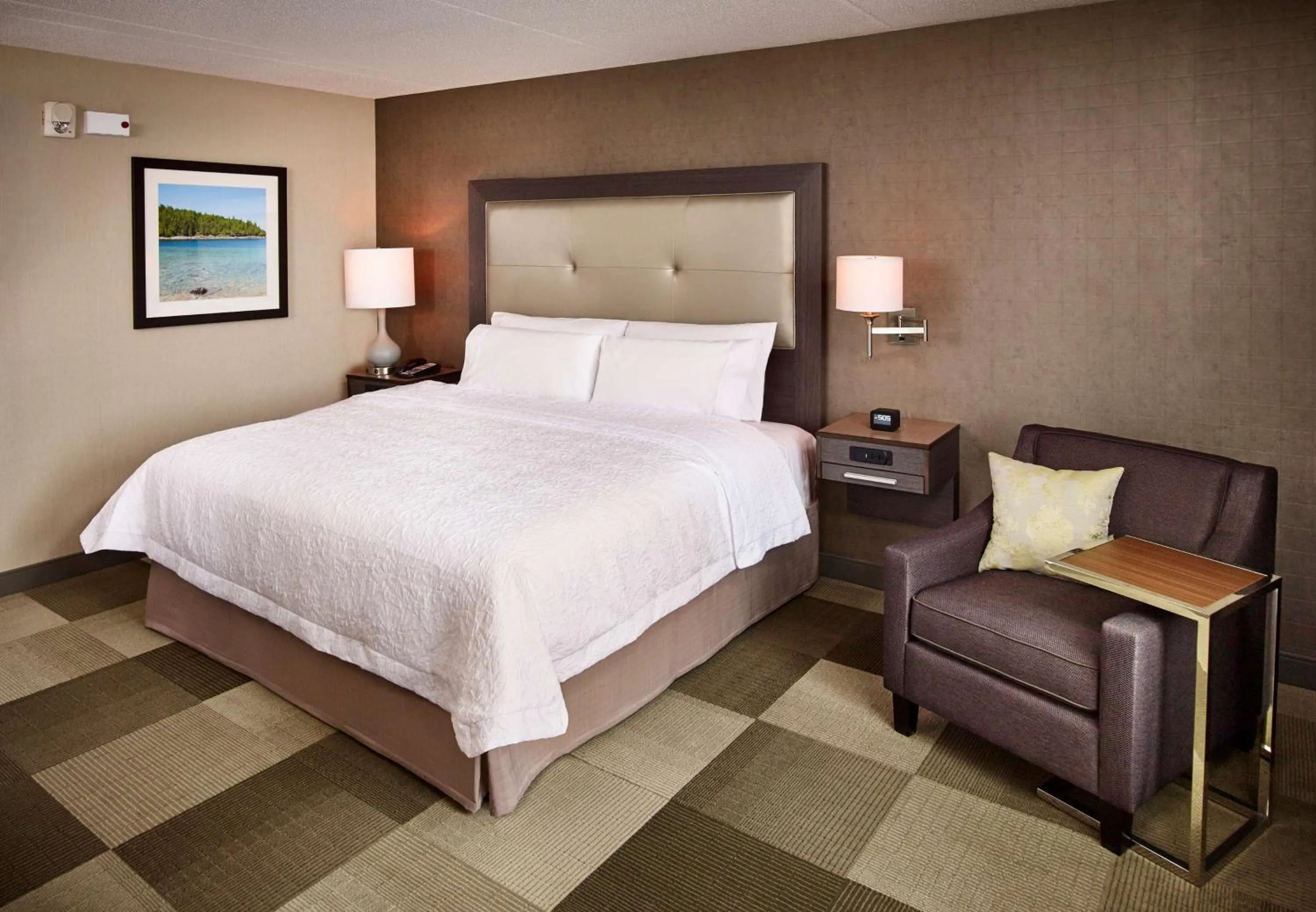 King Room - Hearing Access/Non-Smoking in Hampton Inn by Hilton Sarnia/Point Edward