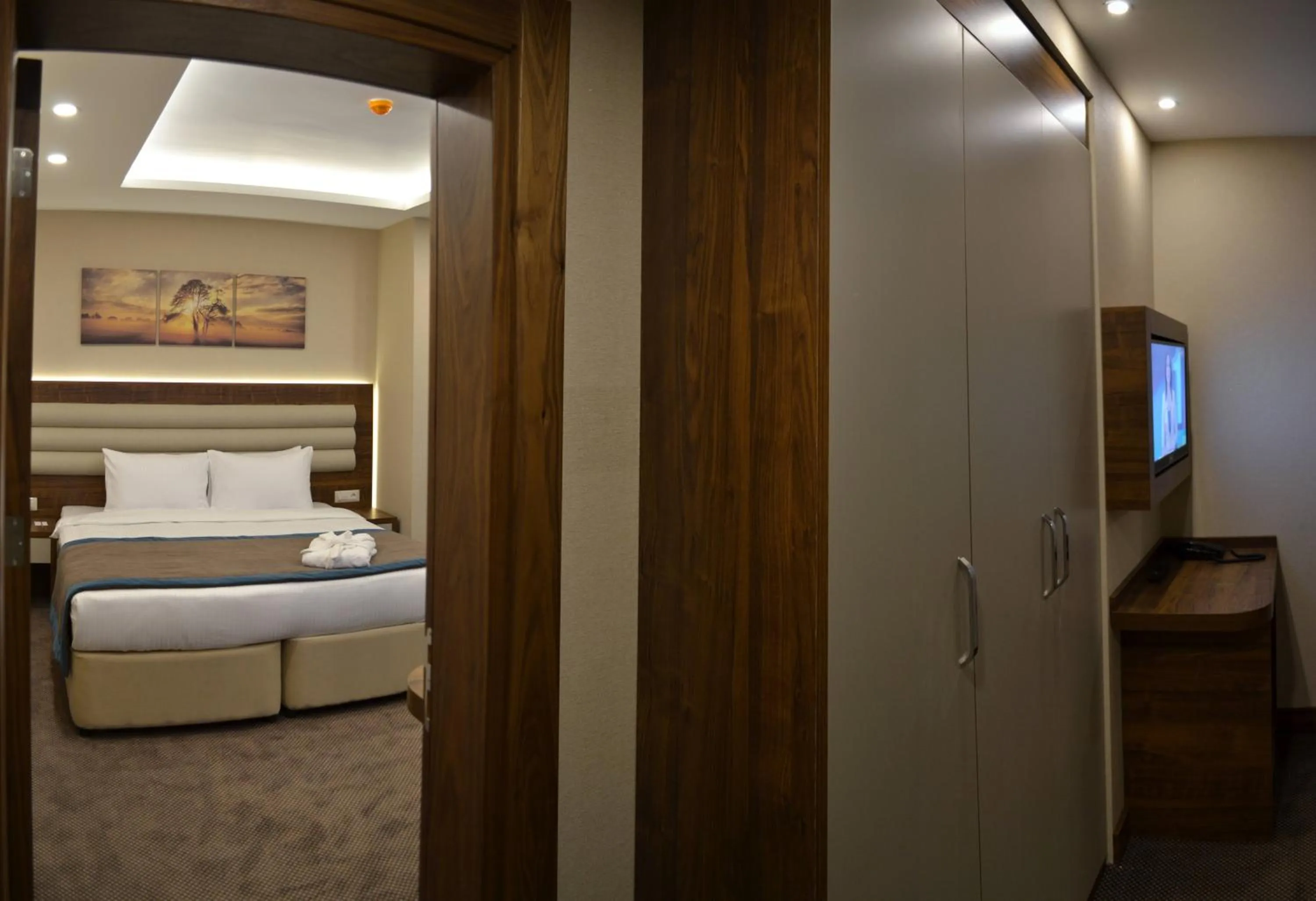 Deluxe Suite - single occupancy in Görükle Güler Park Hotel