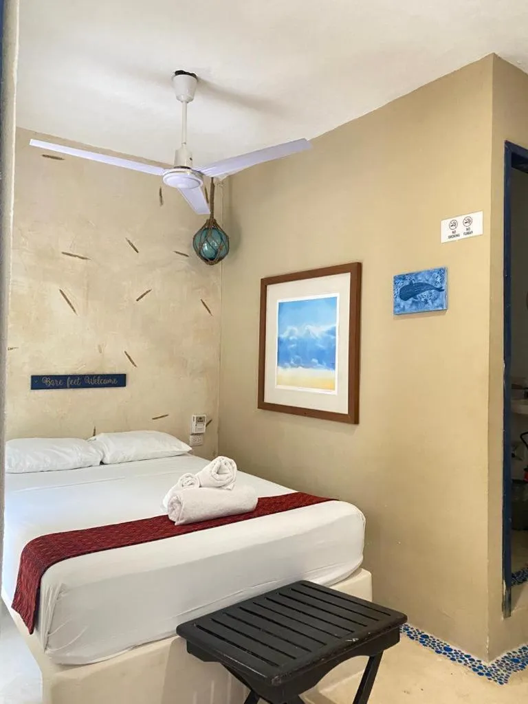 Economy Double Room in La Constanza de Rulo