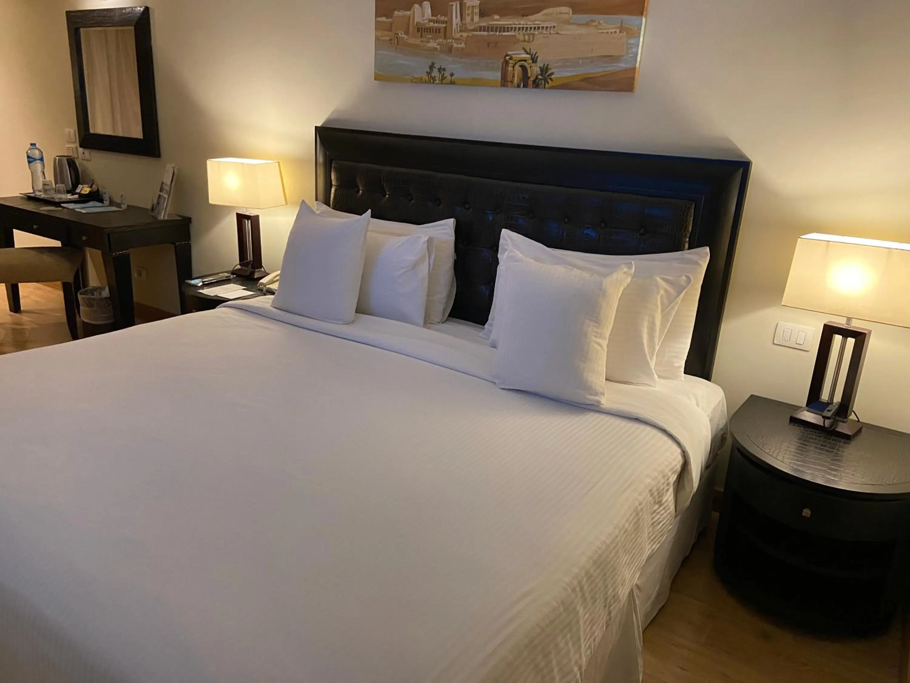 Superior Double Room in Barceló Cairo Pyramids