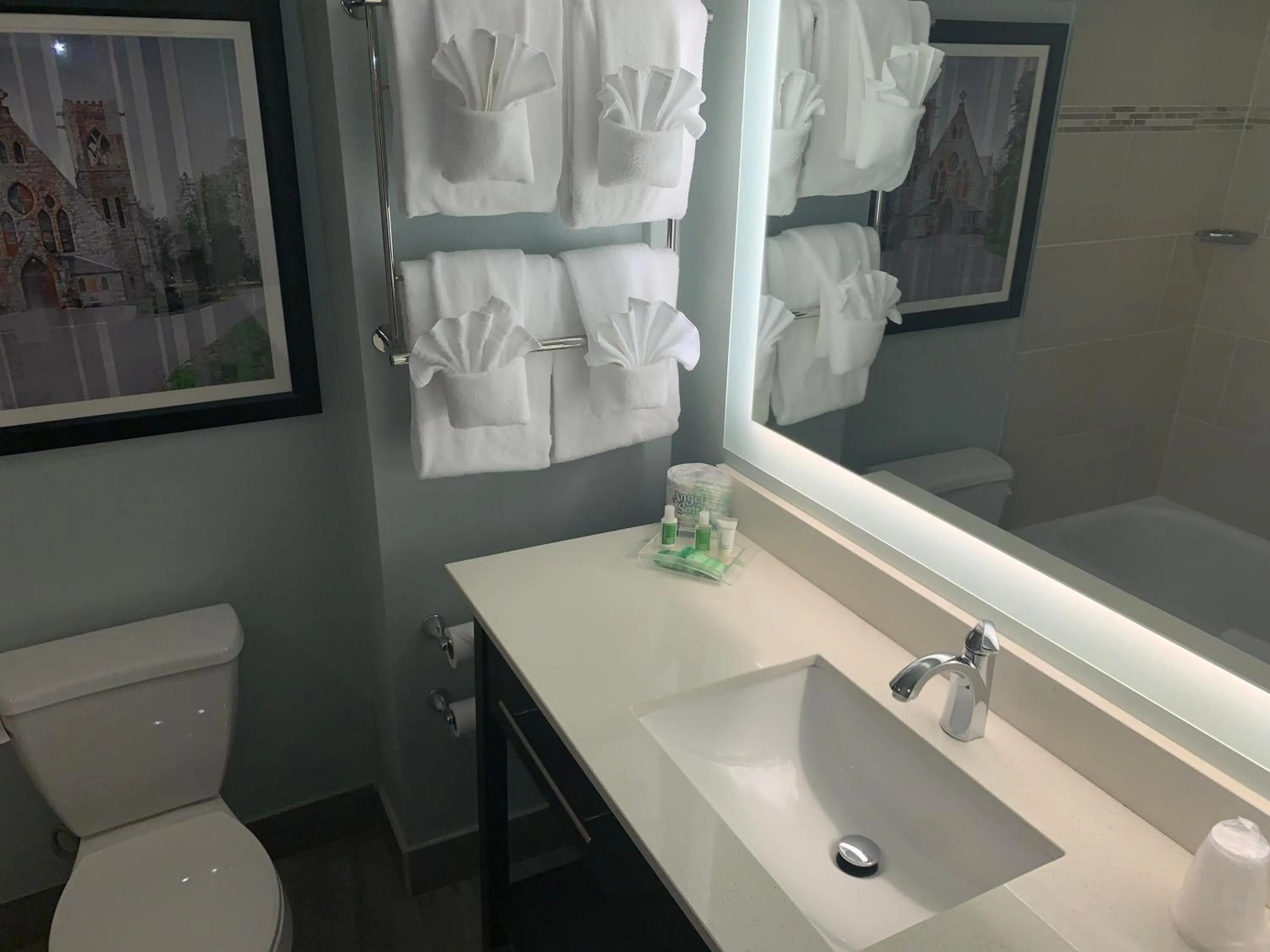 Standard Queen Room with Two Queen Beds in Holiday Inn University Area Charlottesville by IHG