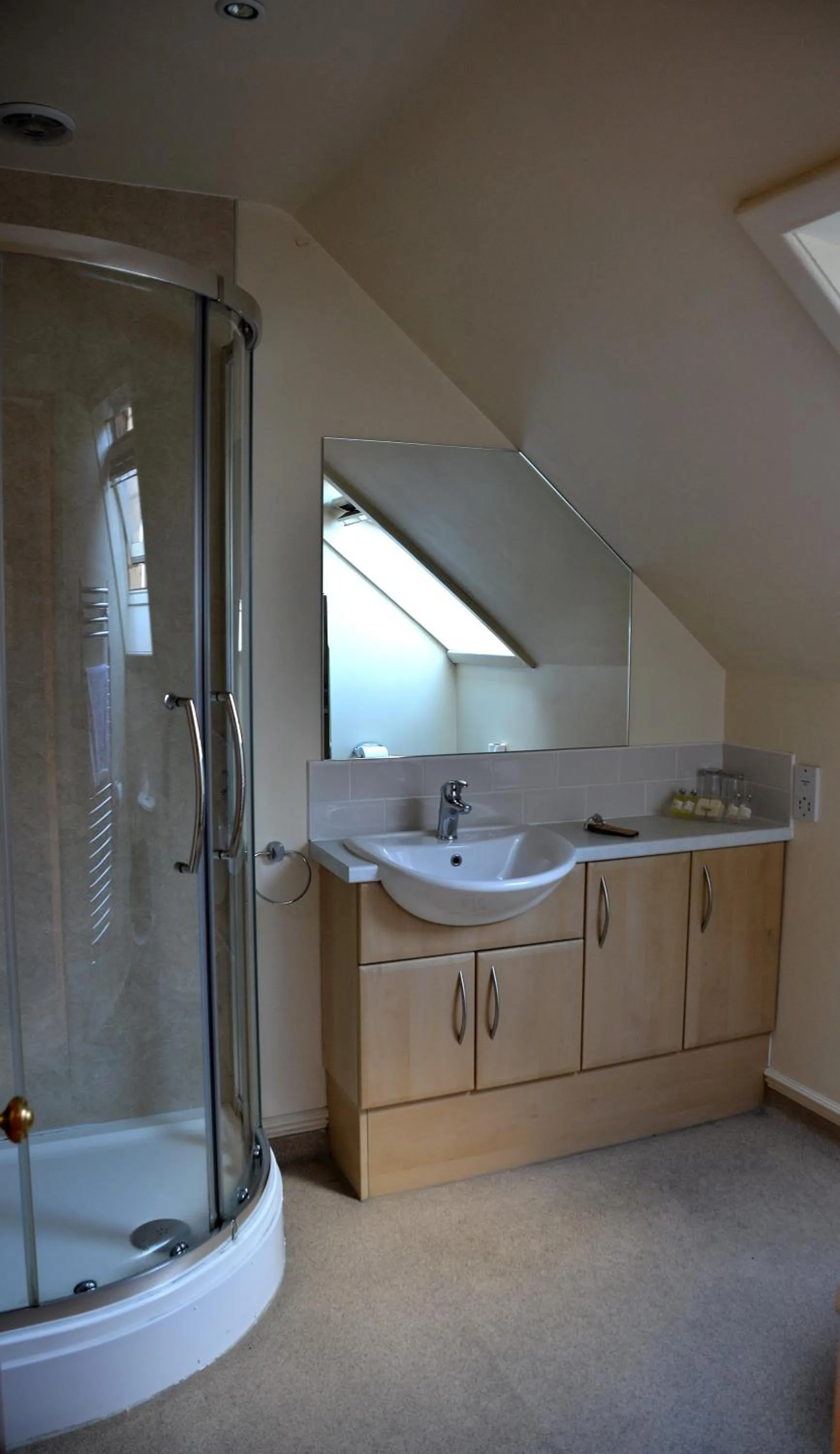 Standard Twin Room Strictly No Pets in Crown hotel