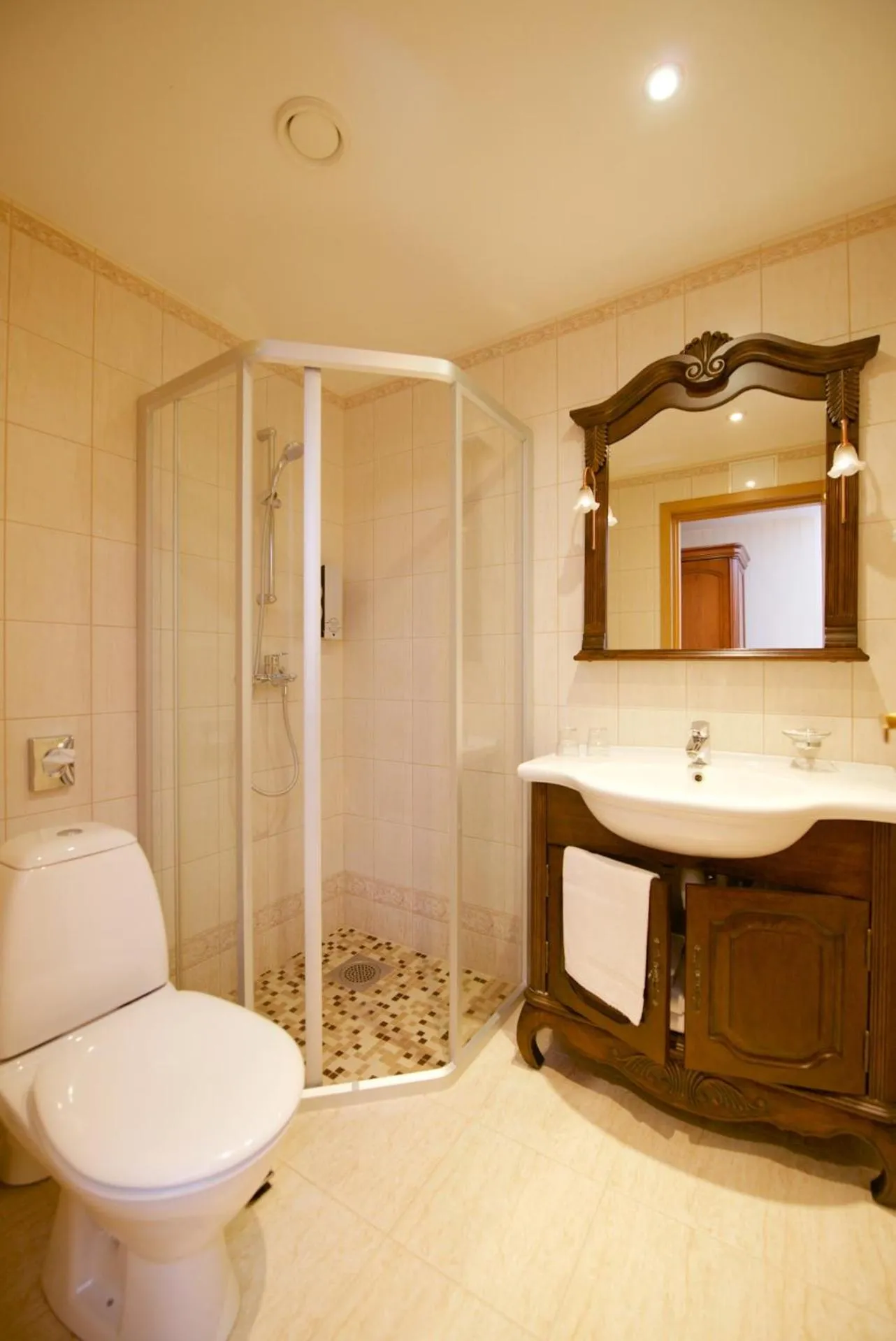 Standard Twin Room - single occupancy in Villa Hotel Theresa