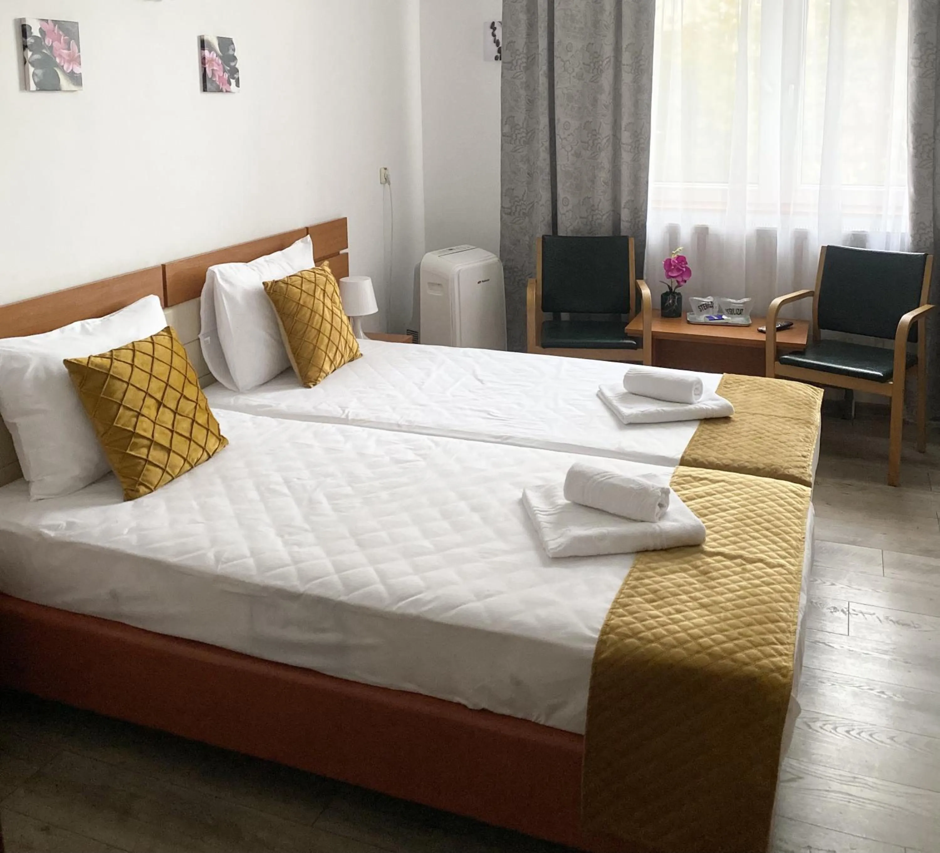 Twin Room in Hotel Sir Lujerului