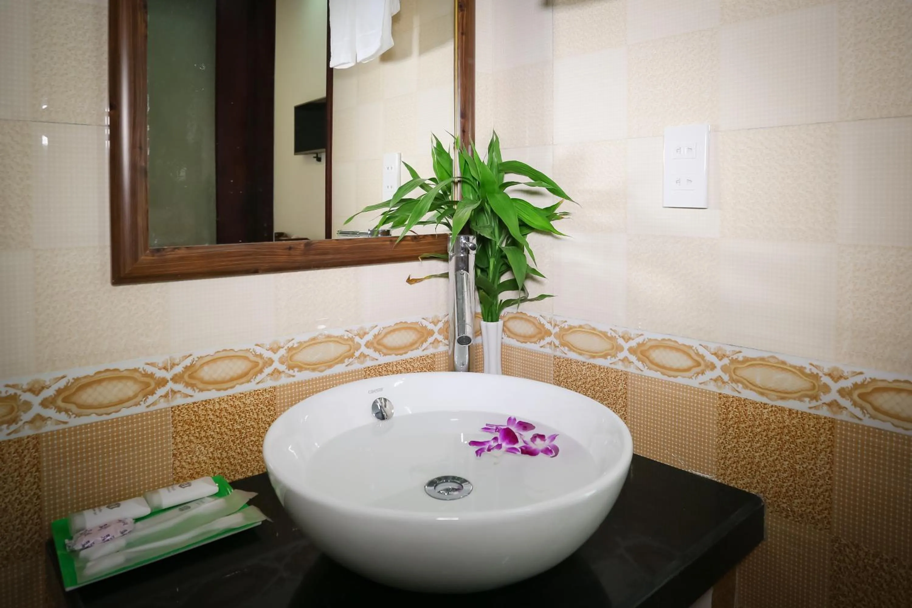 Superior Double or Twin Room in Phoenix Homestay