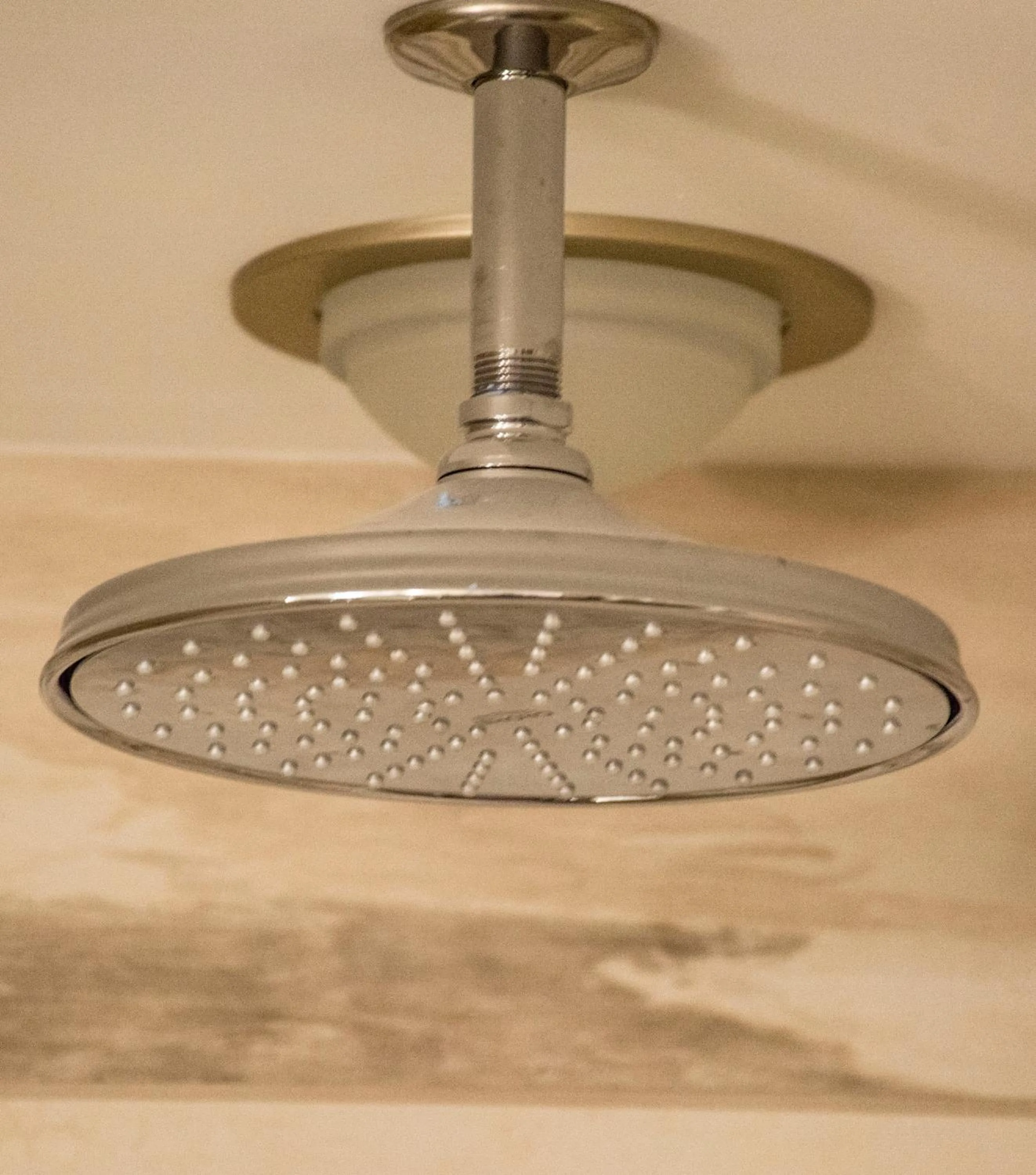 Junior Suite in The Delavan Hotel