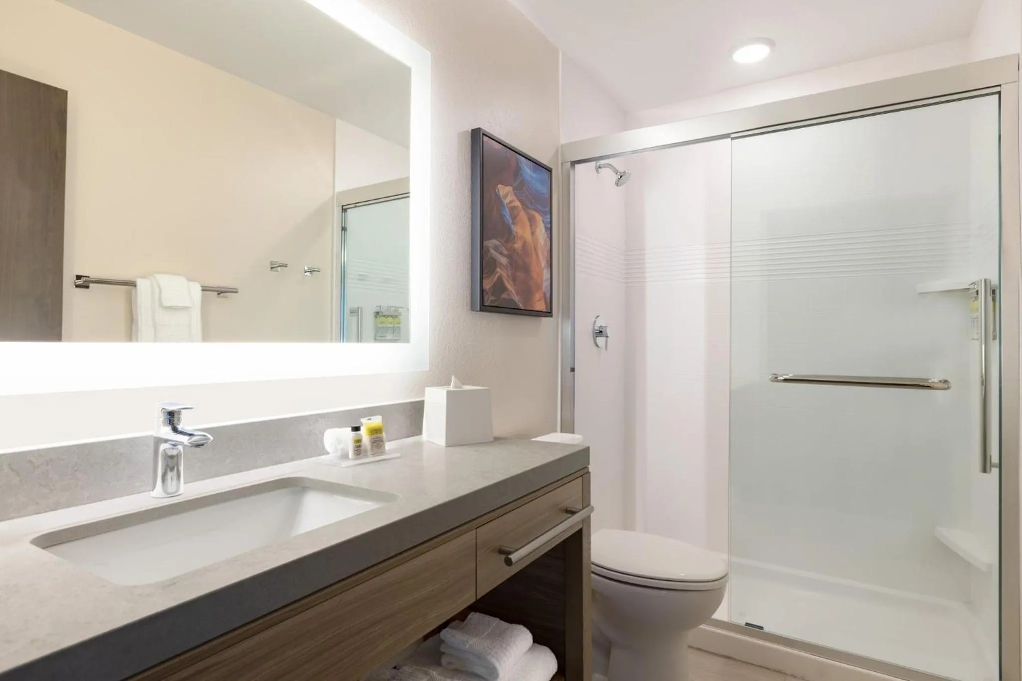 Communication Studio Suite with Tub - Monility Accessible in Independent SPHC BWI Suites