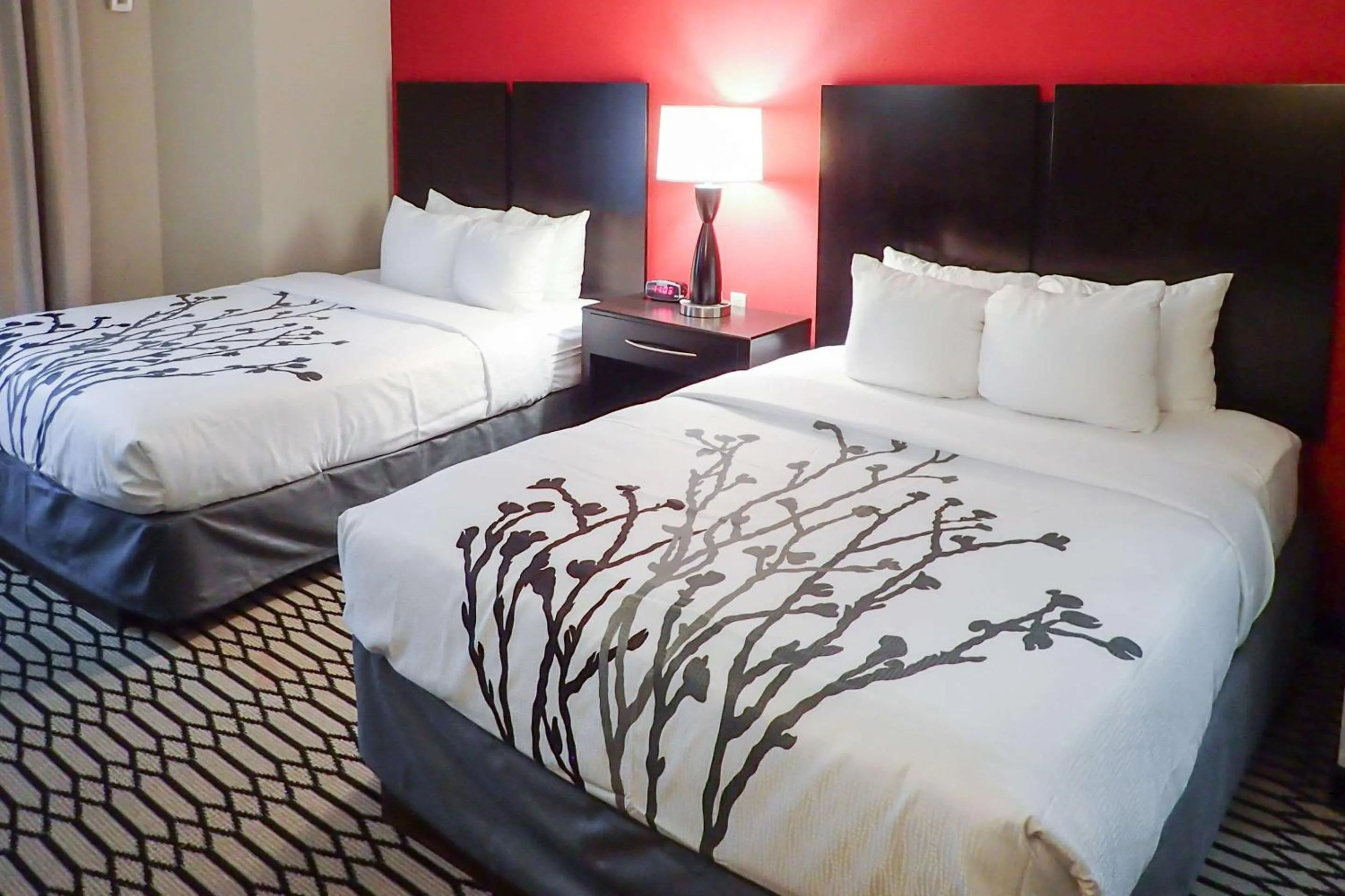 Queen Room with Two Queen Beds - Non-Smoking in Independent SPHC BWI Suites