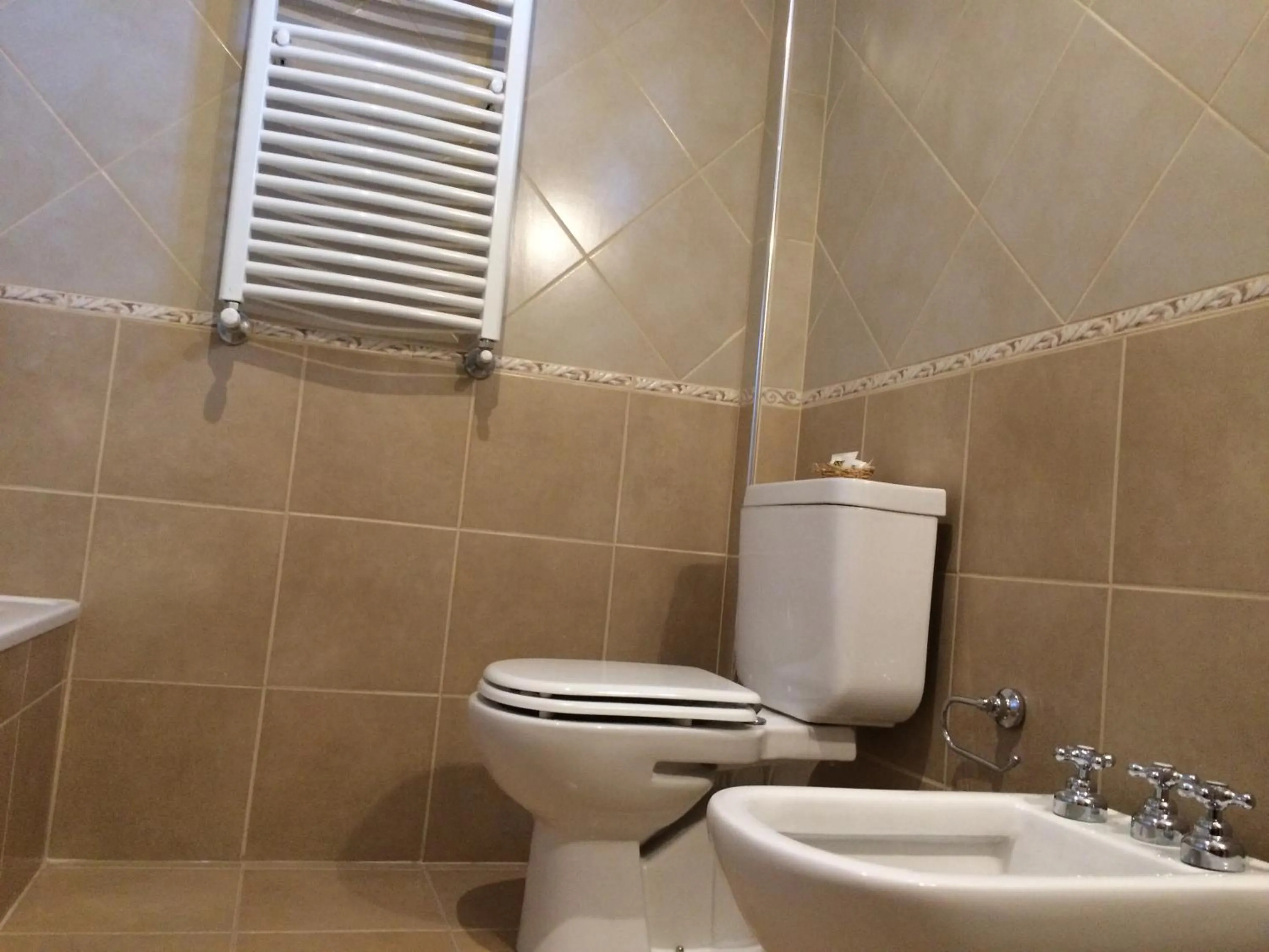 Double or Twin Room in Hostería Vertical Lodge