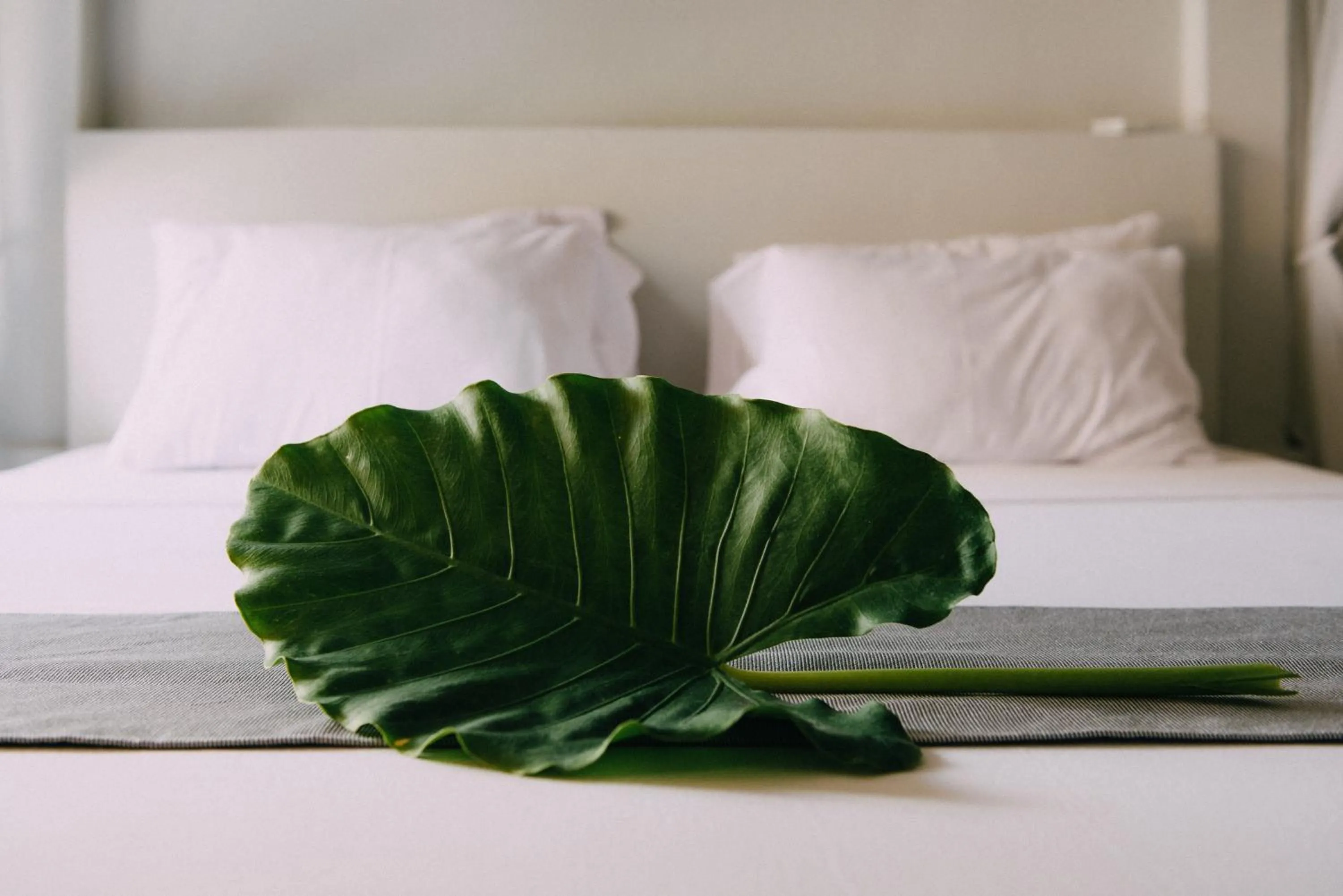 One-Bedroom Apartment with Pool and Sea View in Paje Beach Apartments & Hotel