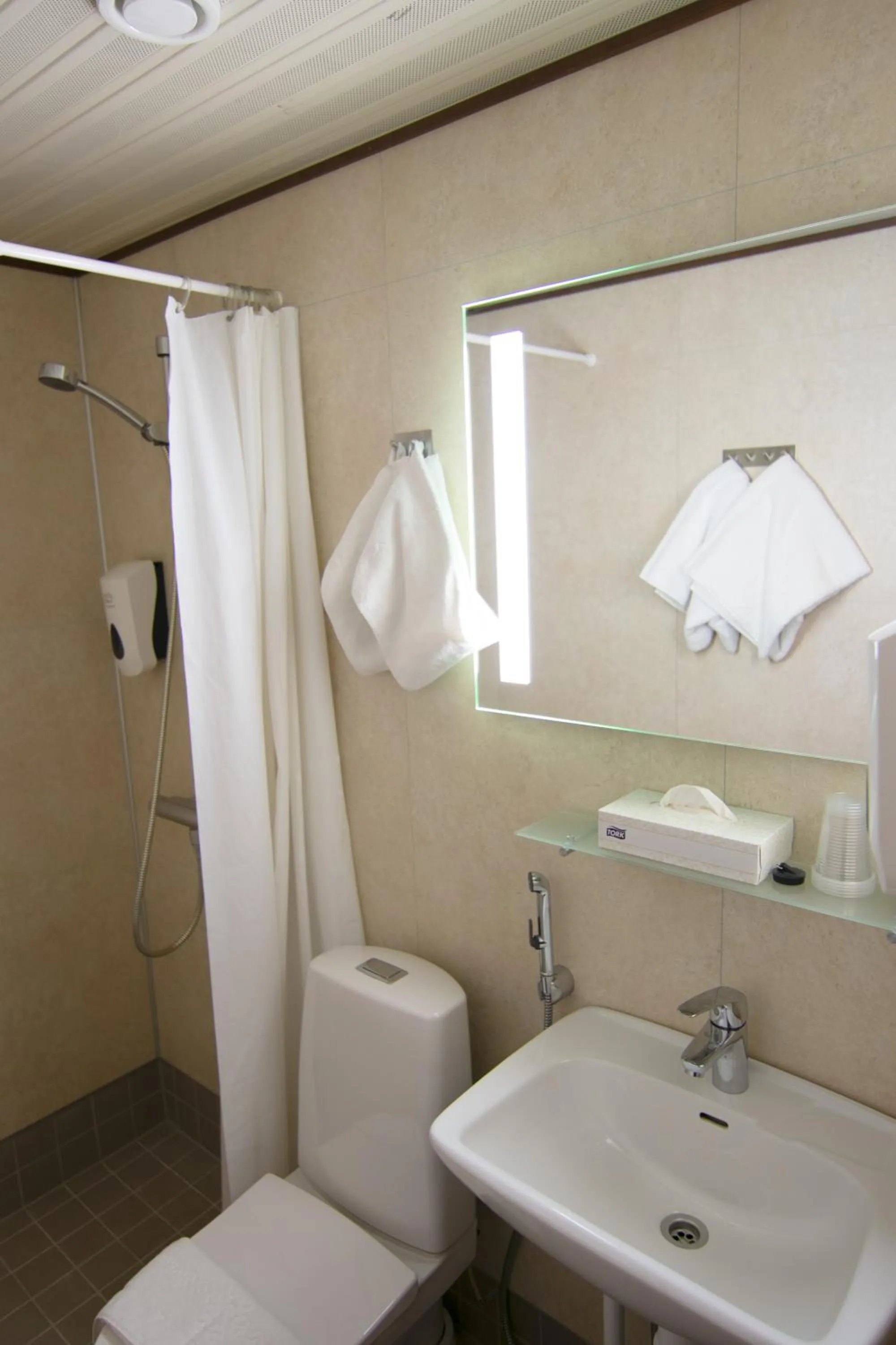 Twin Room - single occupancy in Hotel Kivitasku