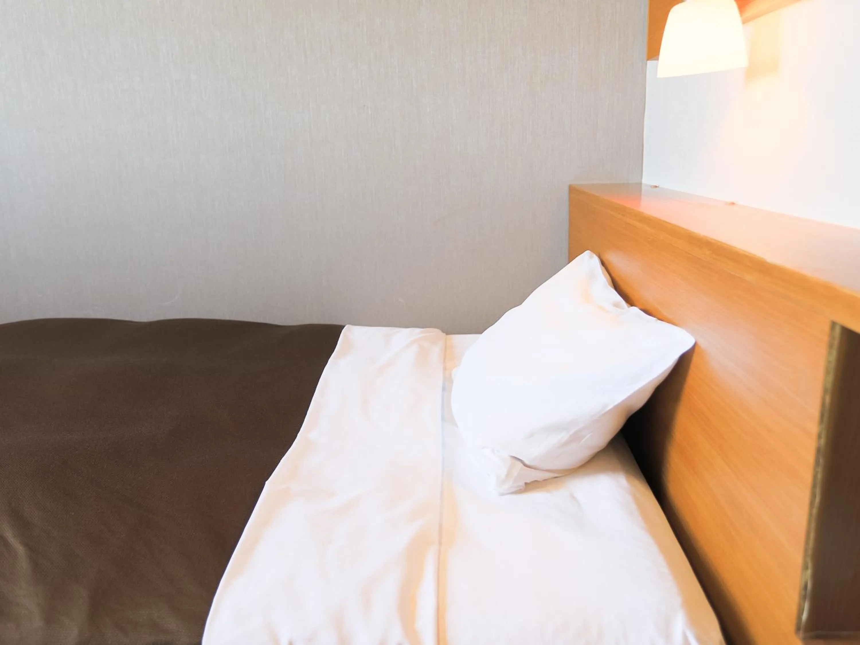 Queen Room - single occupancy in Castle Inn Sendai