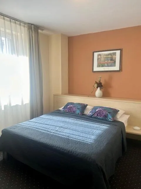 Standard Double Room in Hotel Pacific