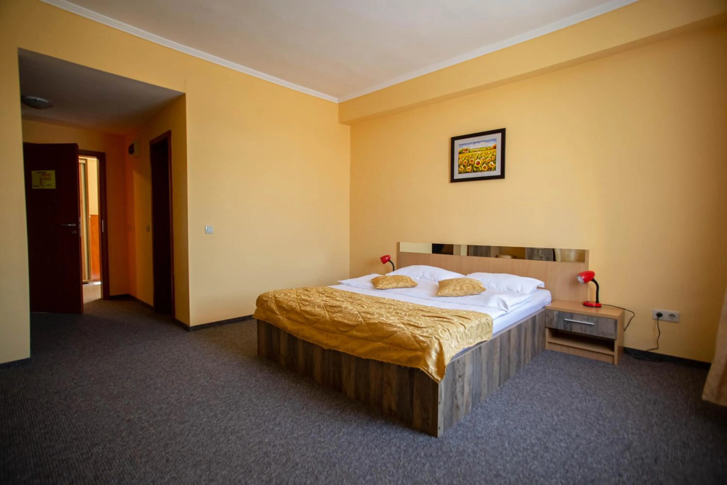 Single Room in Hotel Alexandra