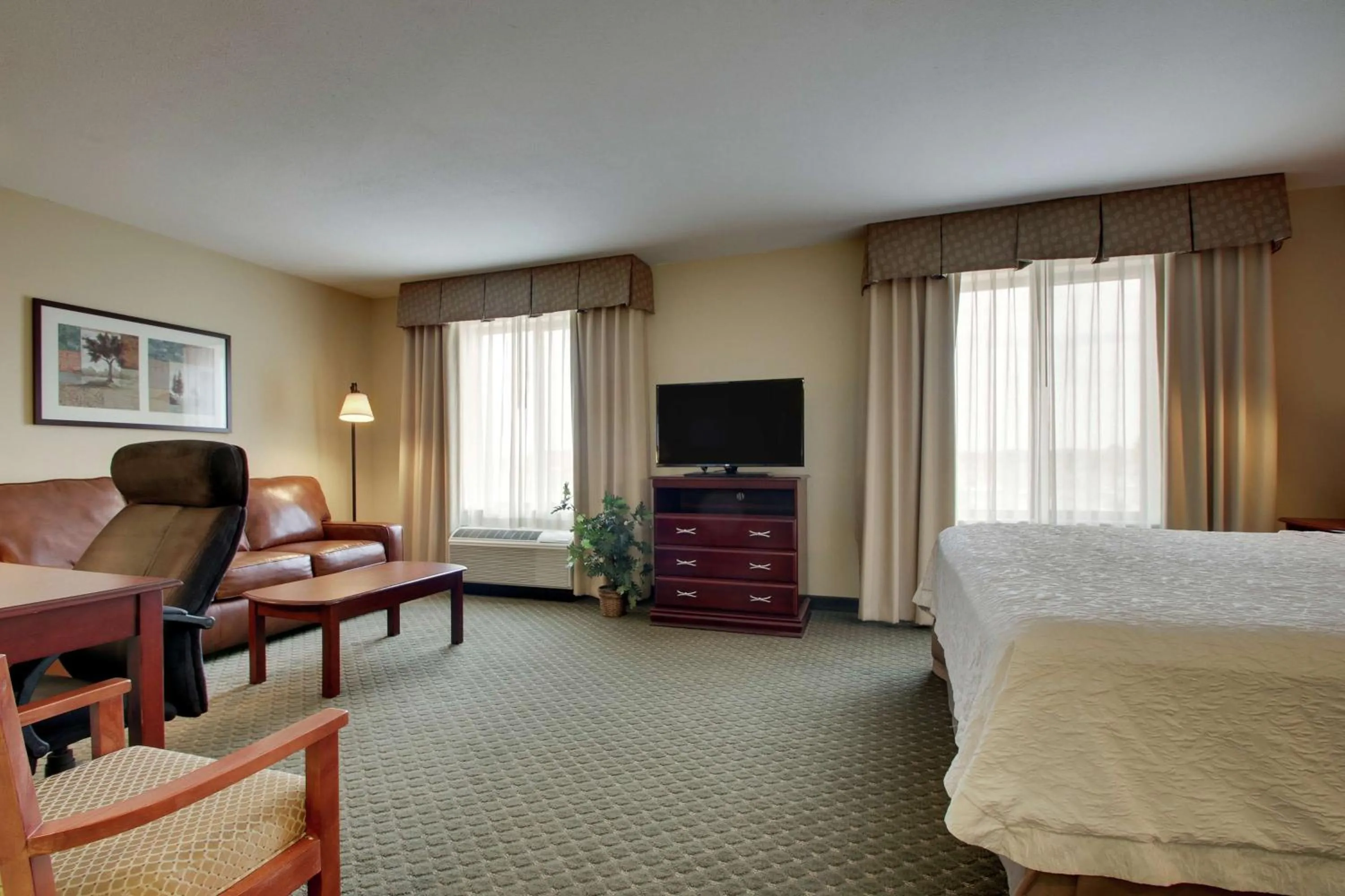 King Studio Suite - Non-Smoking in Hampton Inn & Suites Denver Littleton