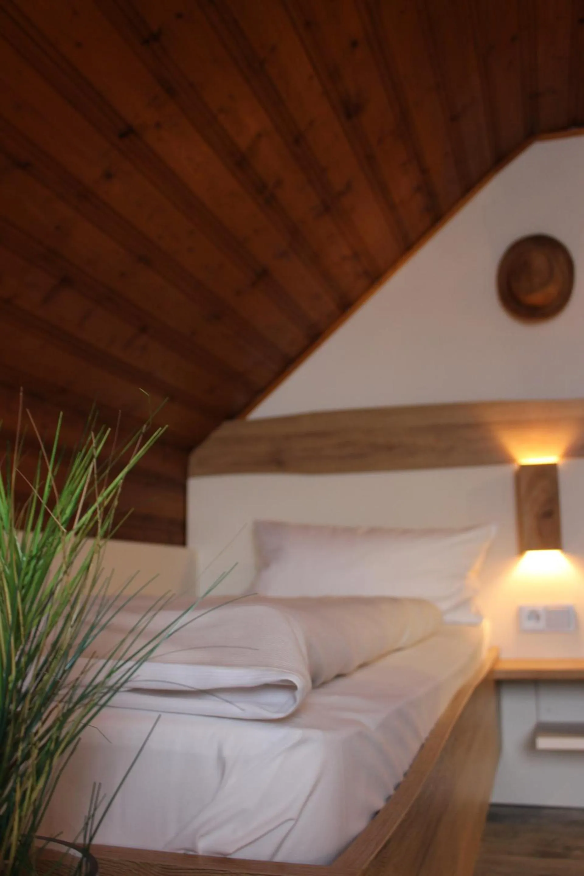 Twin Room with Private Bathroom - single occupancy in Hotel Berghof Wasserkuppe & Gästehaus Fuldaquelle