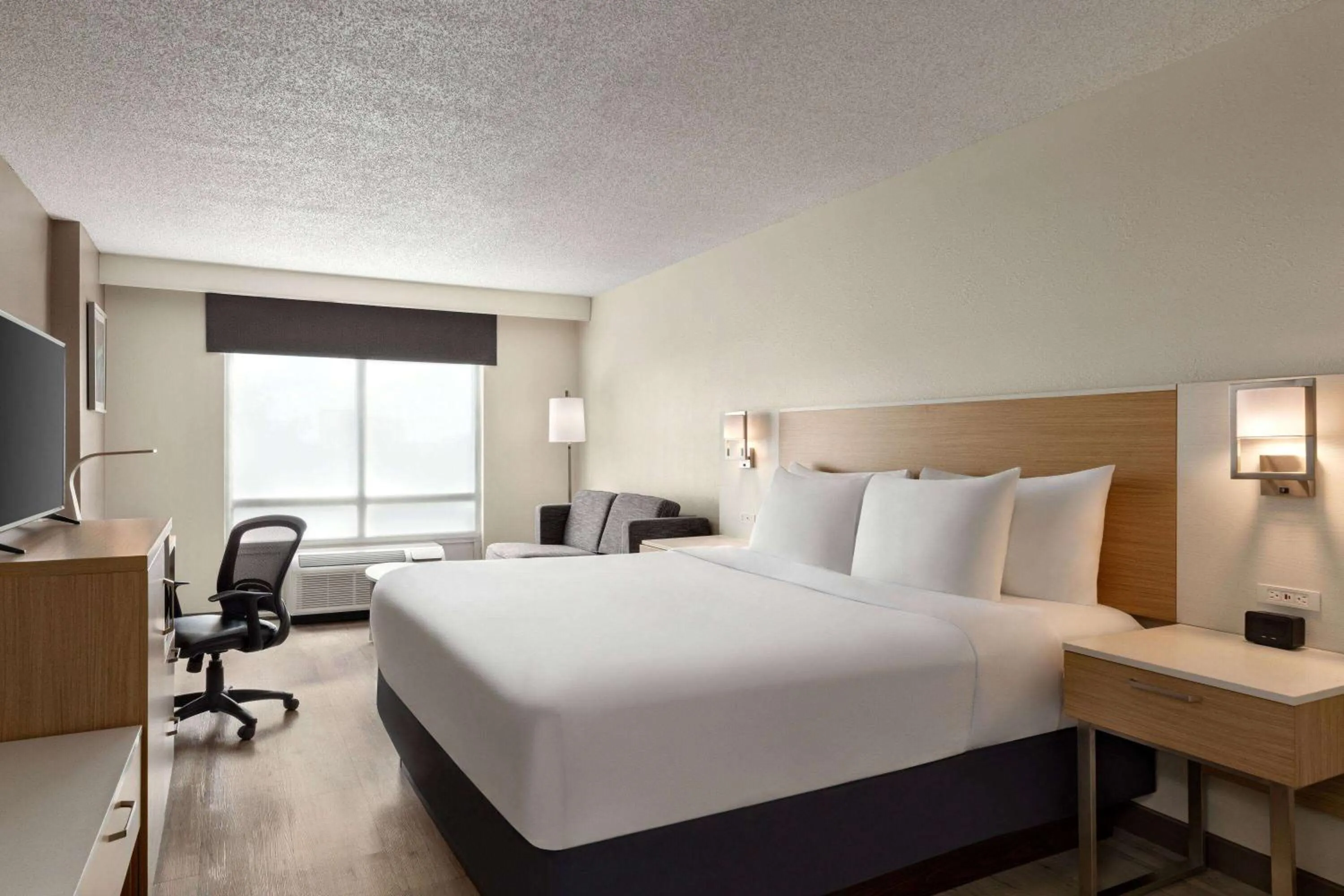 King Room with Sofa Bed in Wyndham Garden Duluth