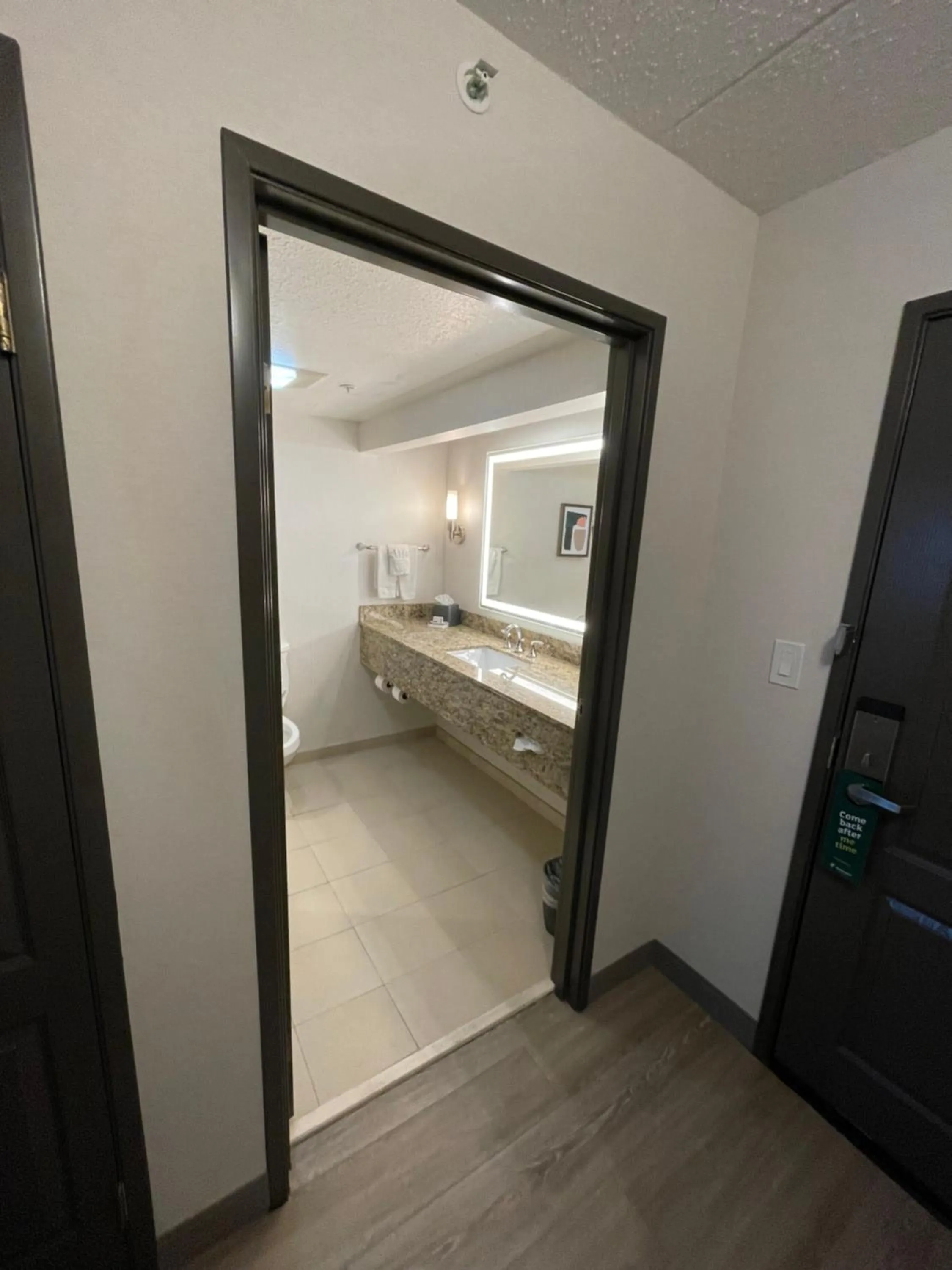 One-Bedroom Suite with Sofa Bed in Holiday Inn Hotel & Suites Chicago Northwest - Elgin by IHG