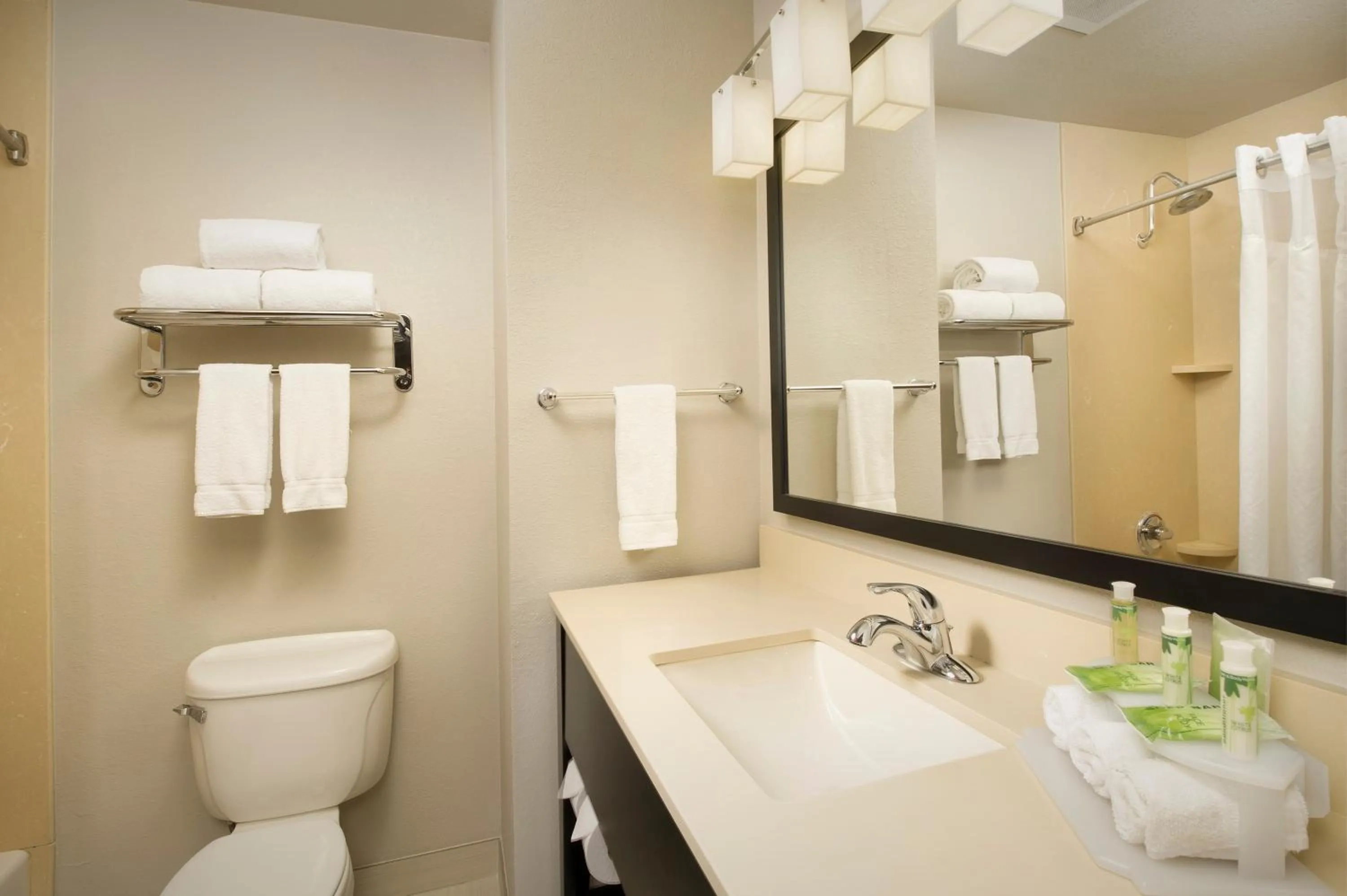 One-Bedroom King Suite - Non-Smoking in Holiday Inn Express Hotel and Suites DFW-Grapevine by IHG