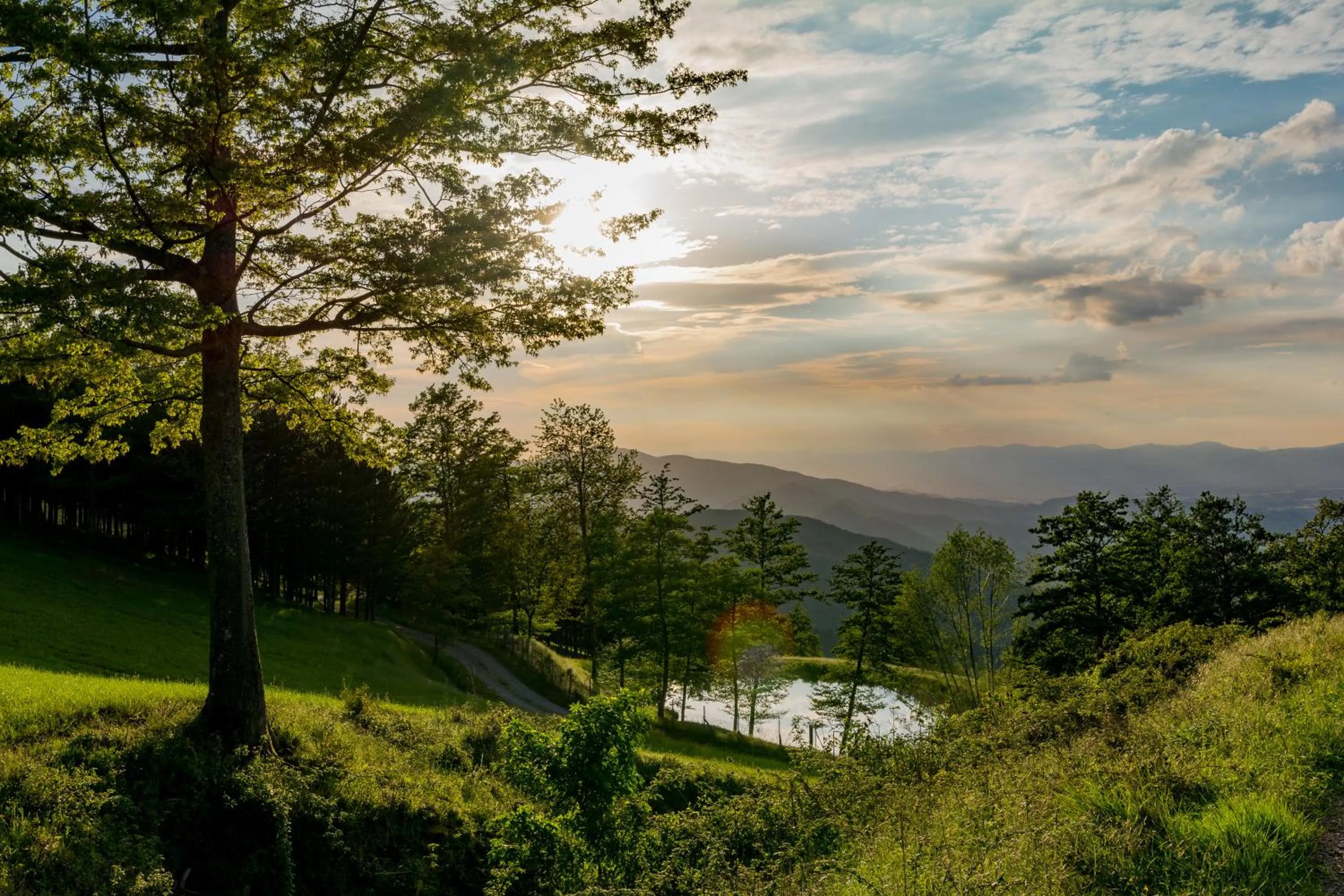 Two-Bedroom Apartment in Agriturismo Casapasserini