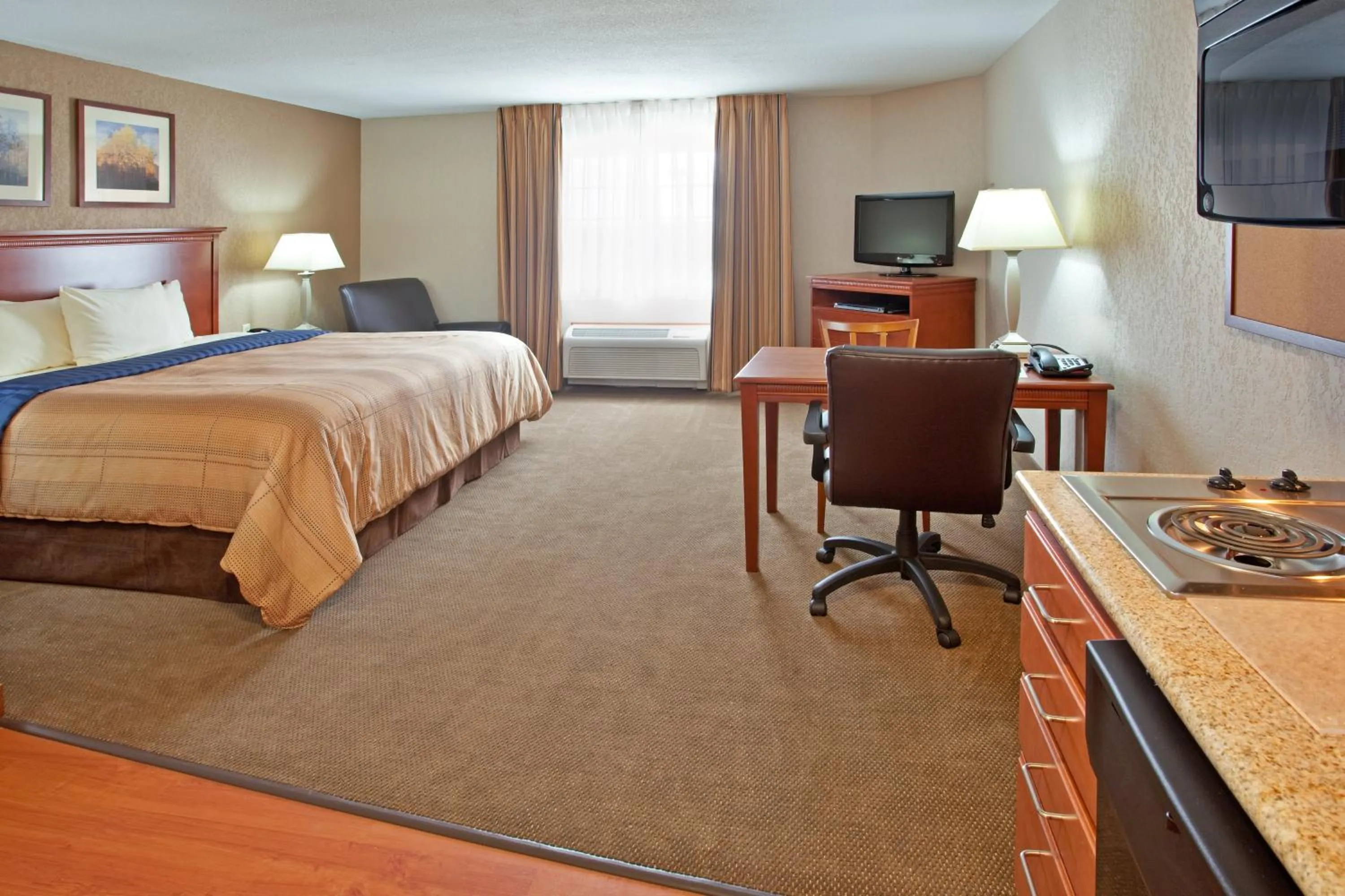 King Room with Roll-In Shower - Disability Access in Candlewood Suites Elgin – Northwest Chicago by IHG