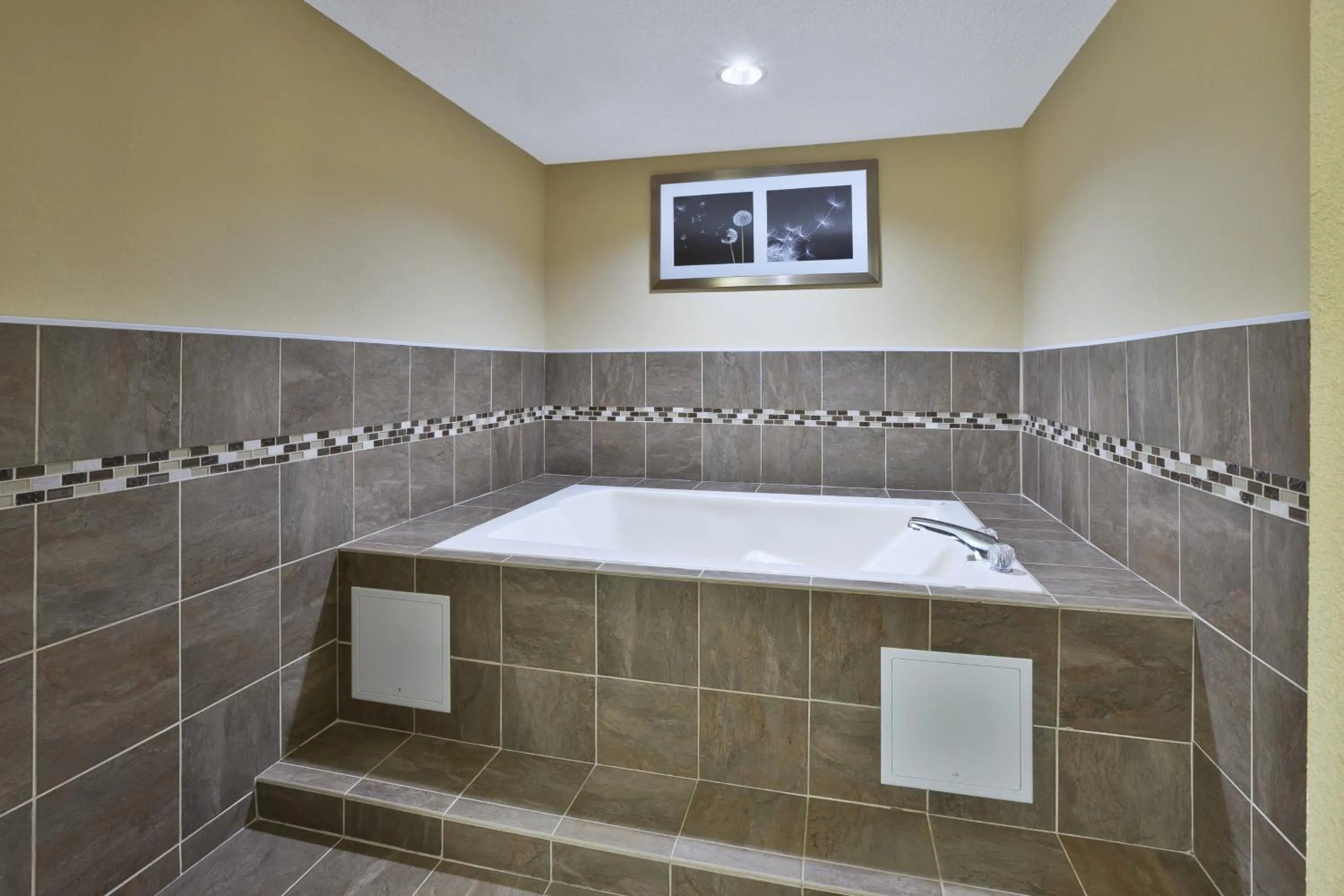 King Suite with Jetted Tub in Holiday Inn Express Hotel & Suites Circleville by IHG