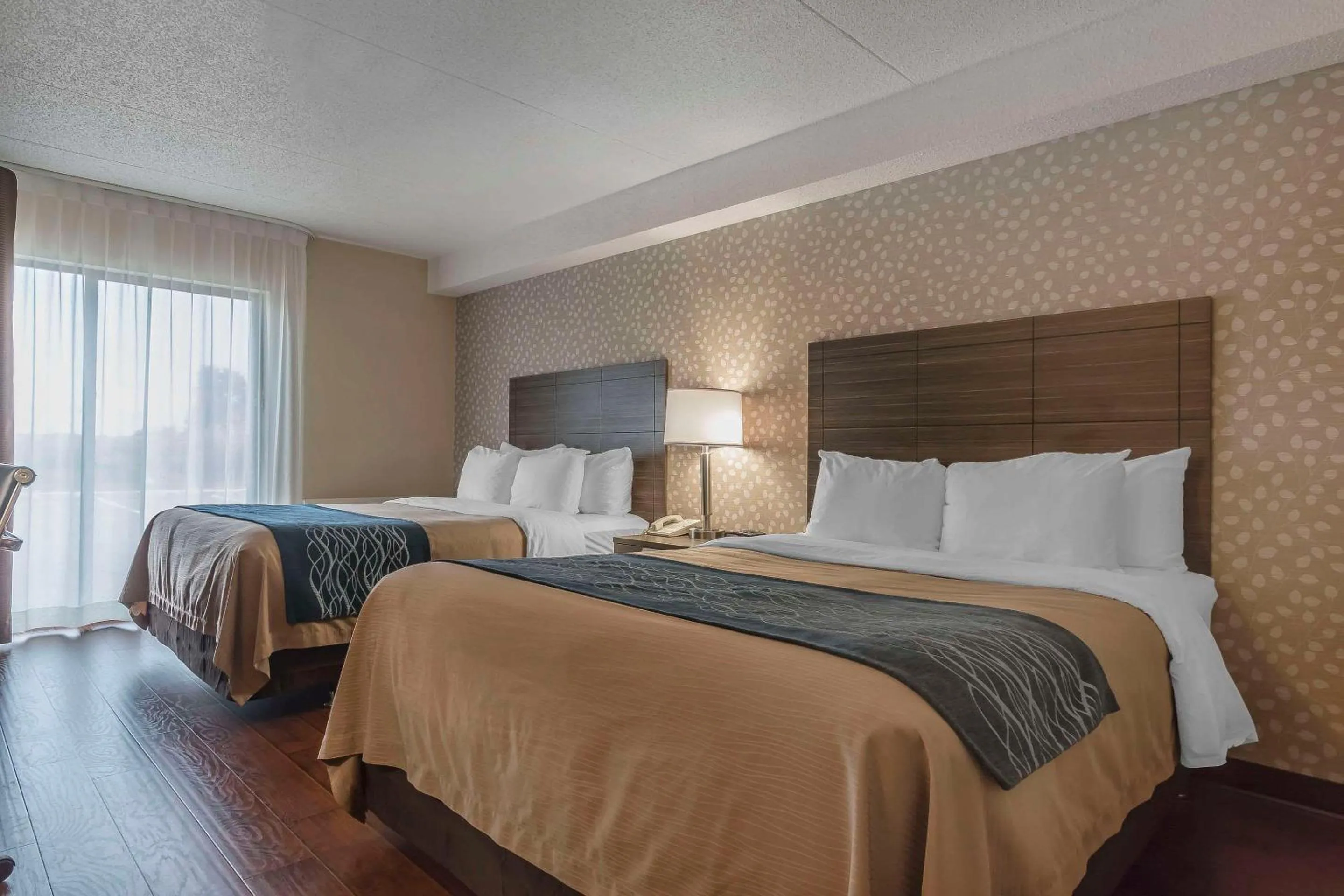 Deluxe Room with Two Queen Beds - Ground Floor in Comfort Inn