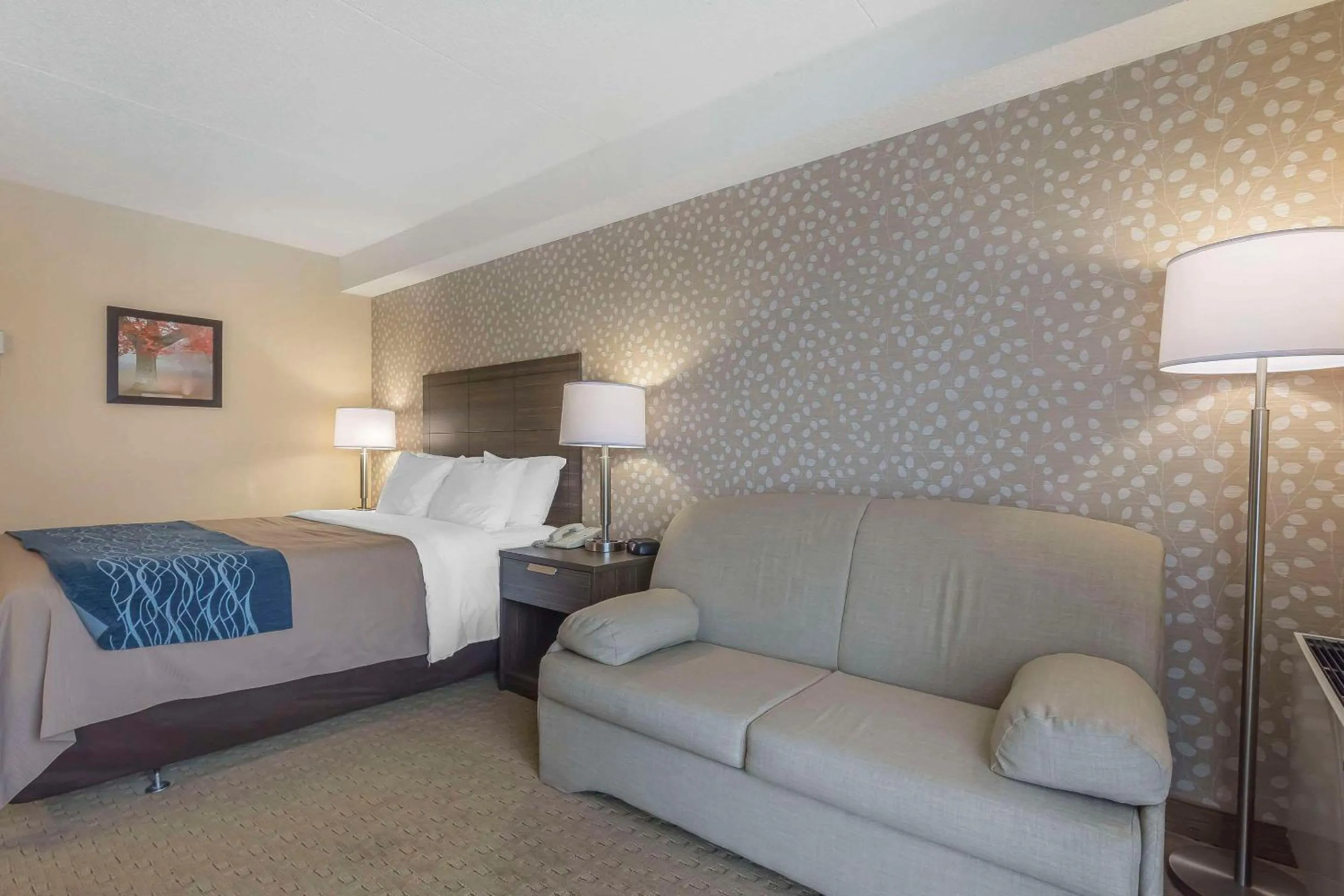 Deluxe Queen Room with Sofa Bed - Ground Floor in Comfort Inn