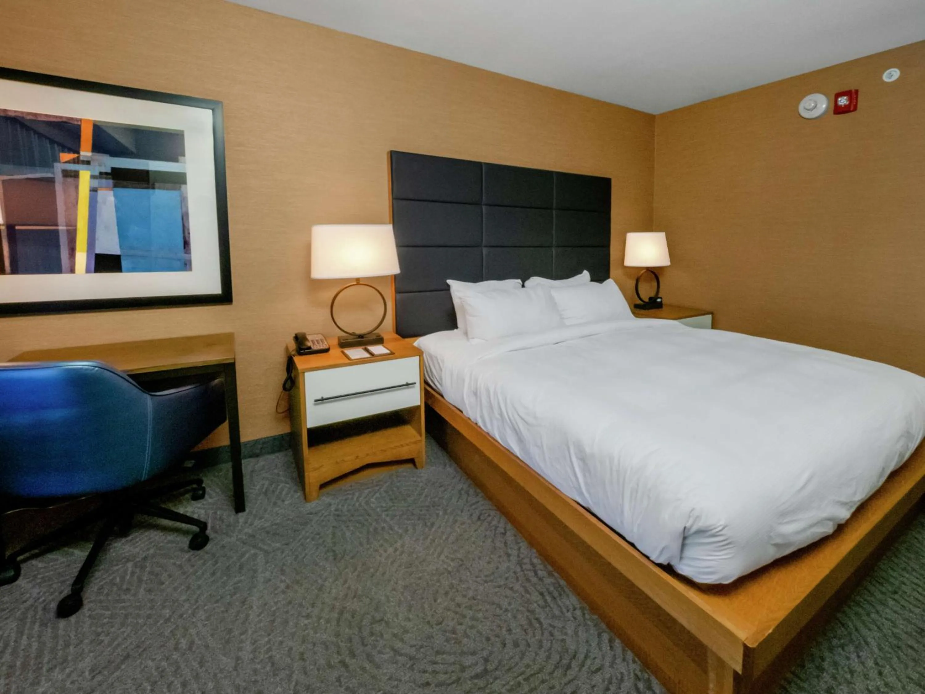 King Room with Balcony and River View in DoubleTree by Hilton Hotel Niagara Falls New York