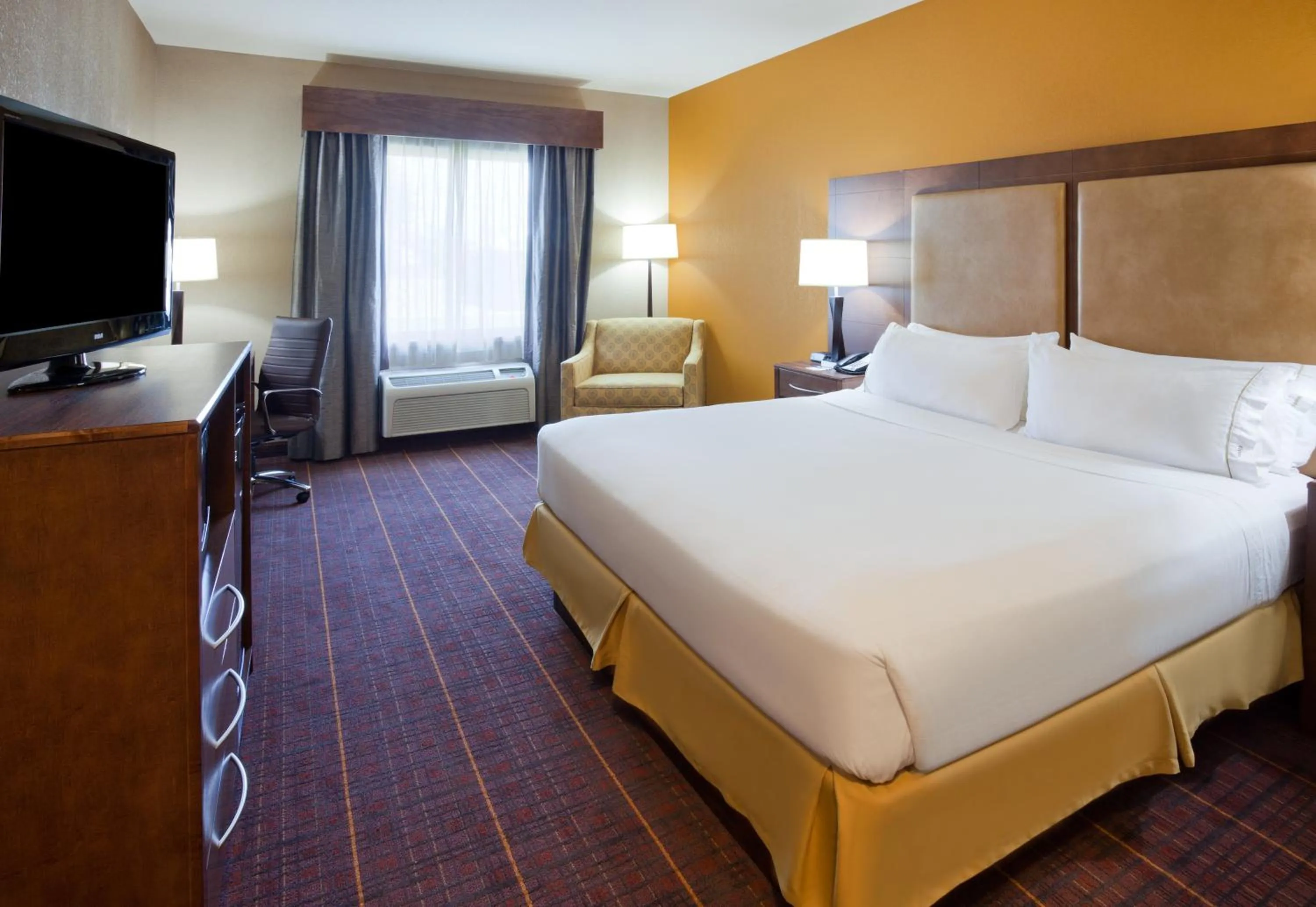 Standard King Room - Communications Accessible in Holiday Inn Express Hotel & Suites Brainerd-Baxter by IHG