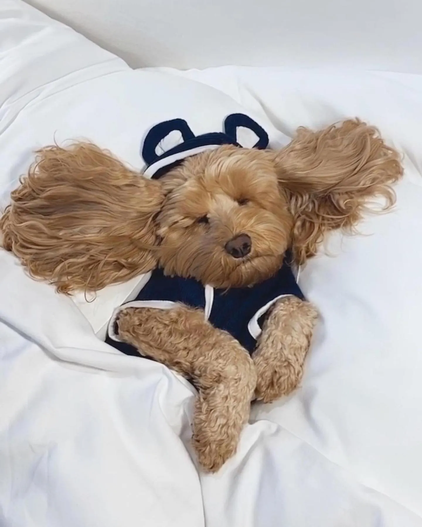 Standard Twin Room in Bannisters Pavilion Mollymook
