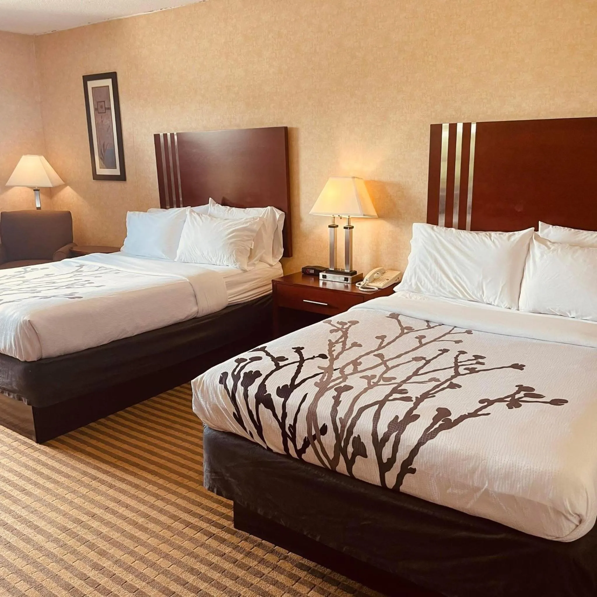 Double Room with Two Double Beds - Non-Smoking in Lynchburg Grand Estate by IHG