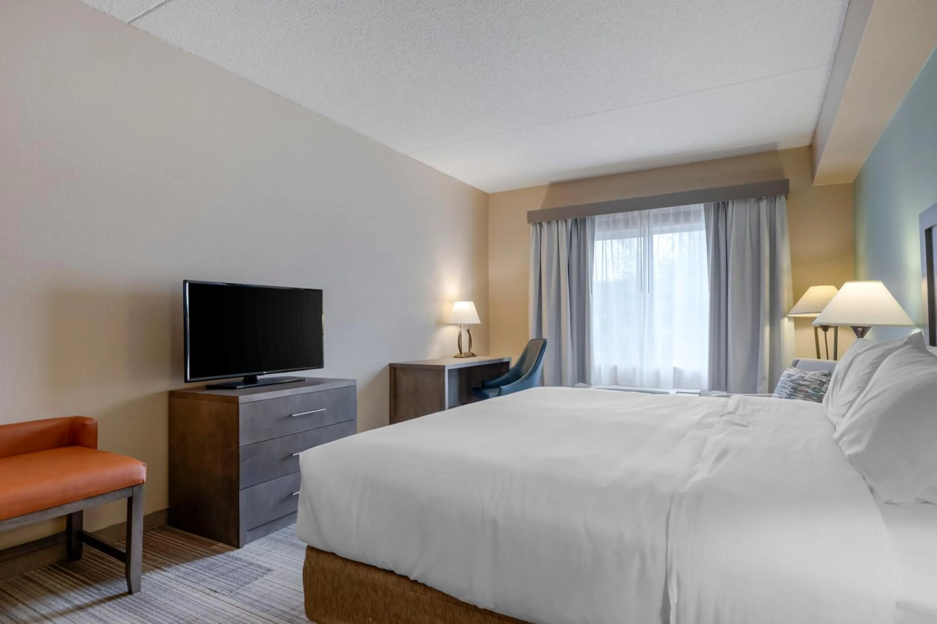 King Room - Accessible/Non Smoking in Comfort Inn & Suites Boulder