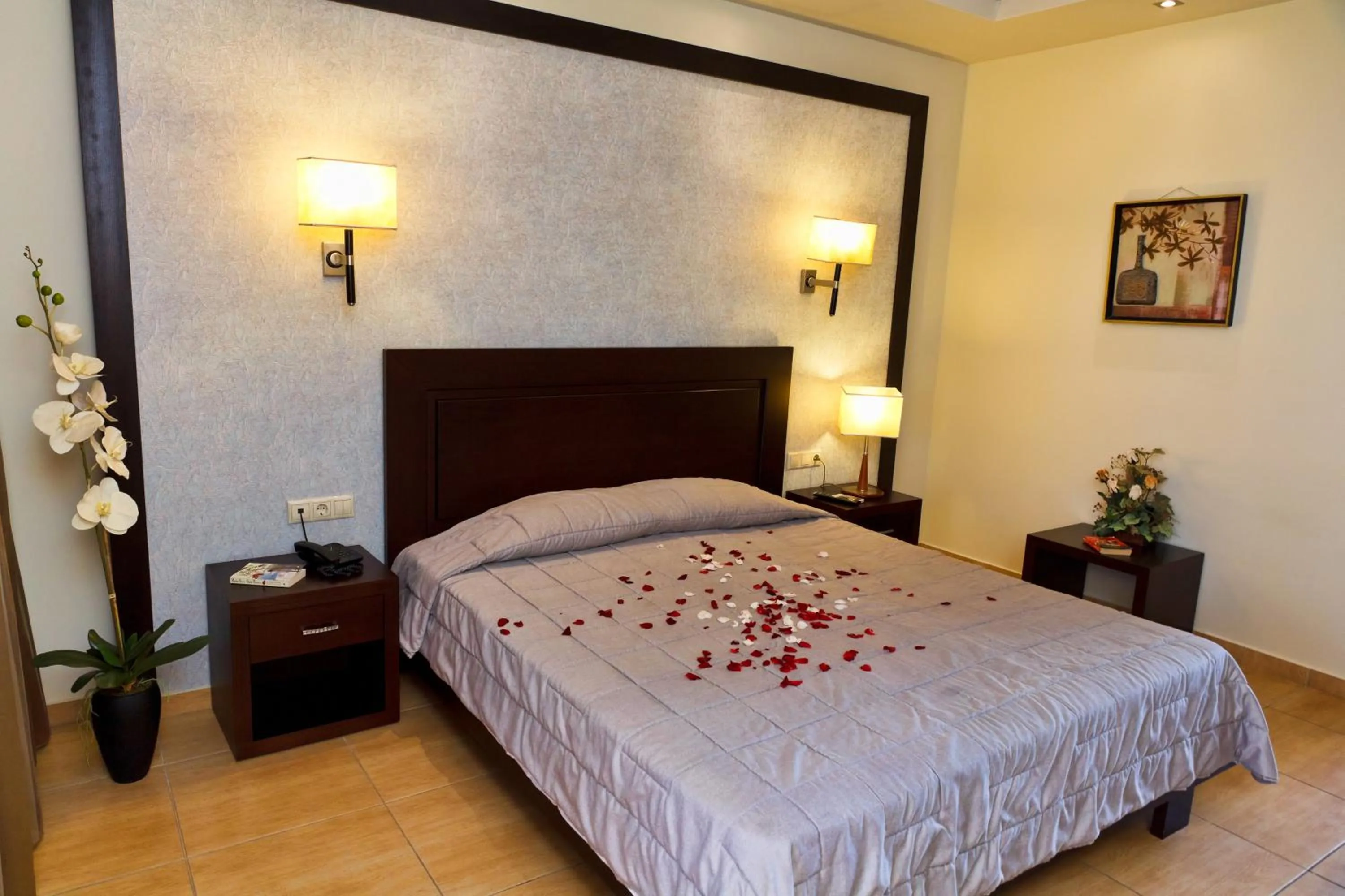 Double Room in Gaia Palace