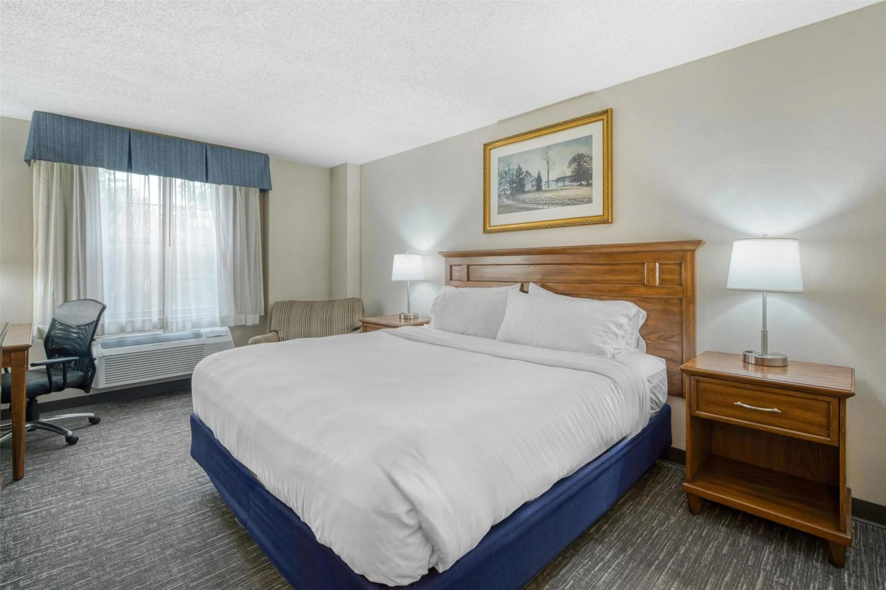 Kitchenette Suite - 1 King Bed in SureStay Plus Hotel by Best Western Elizabethtown Hershey