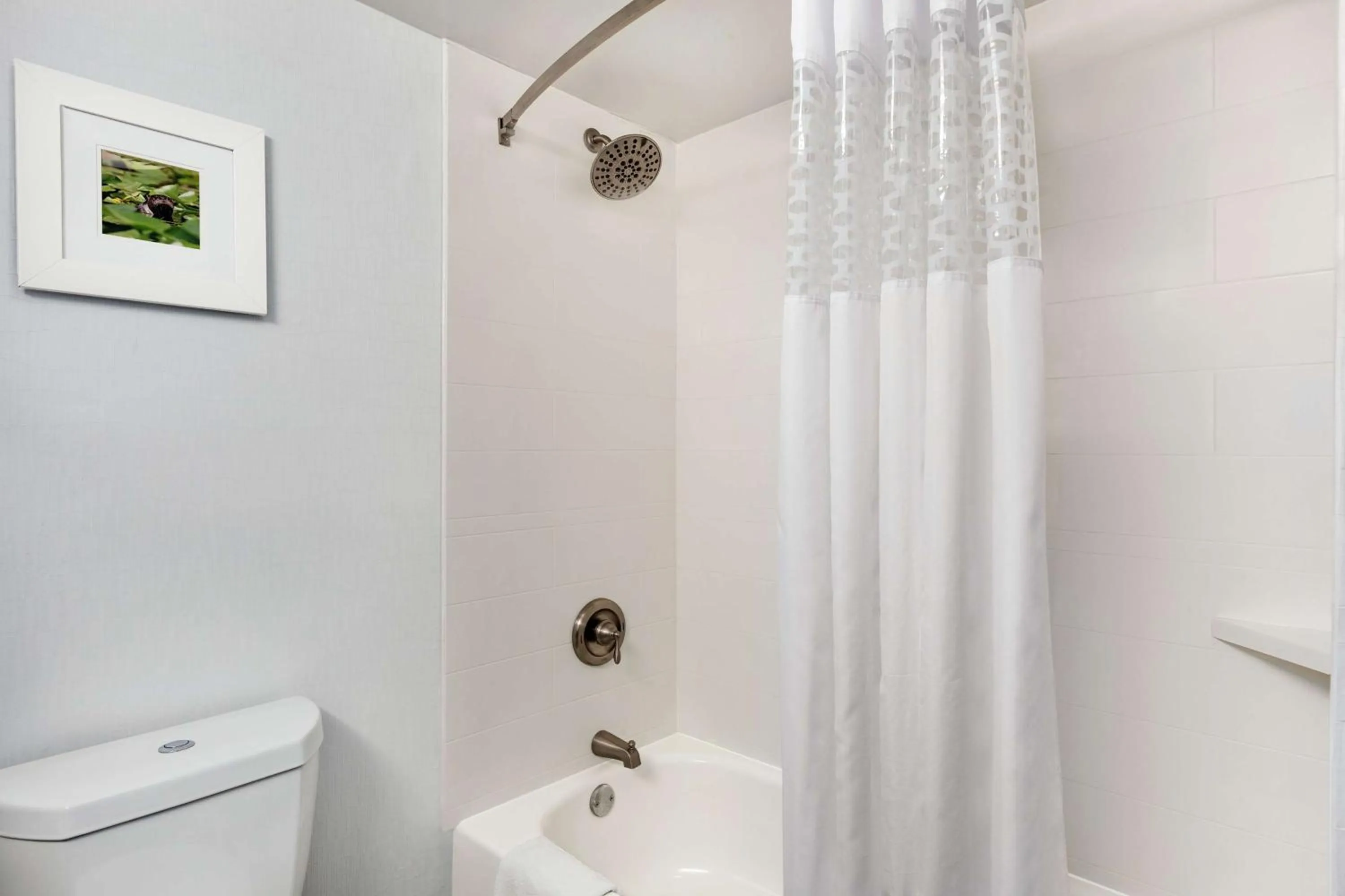 King Room - Non-Smoking in Hampton Inn Waycross