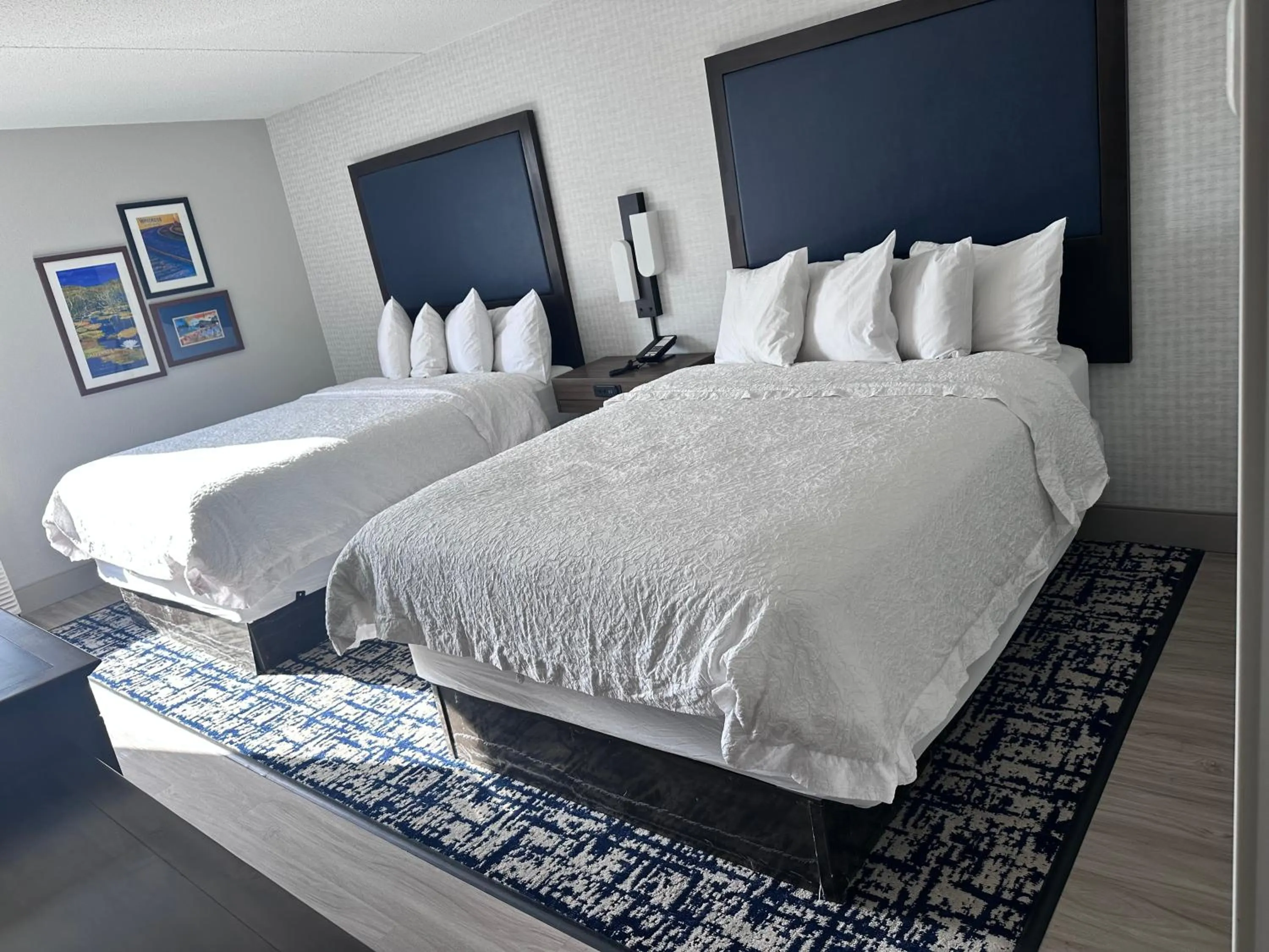 Queen Room with Two Queen Beds - Non-Smoking in Hampton Inn Waycross