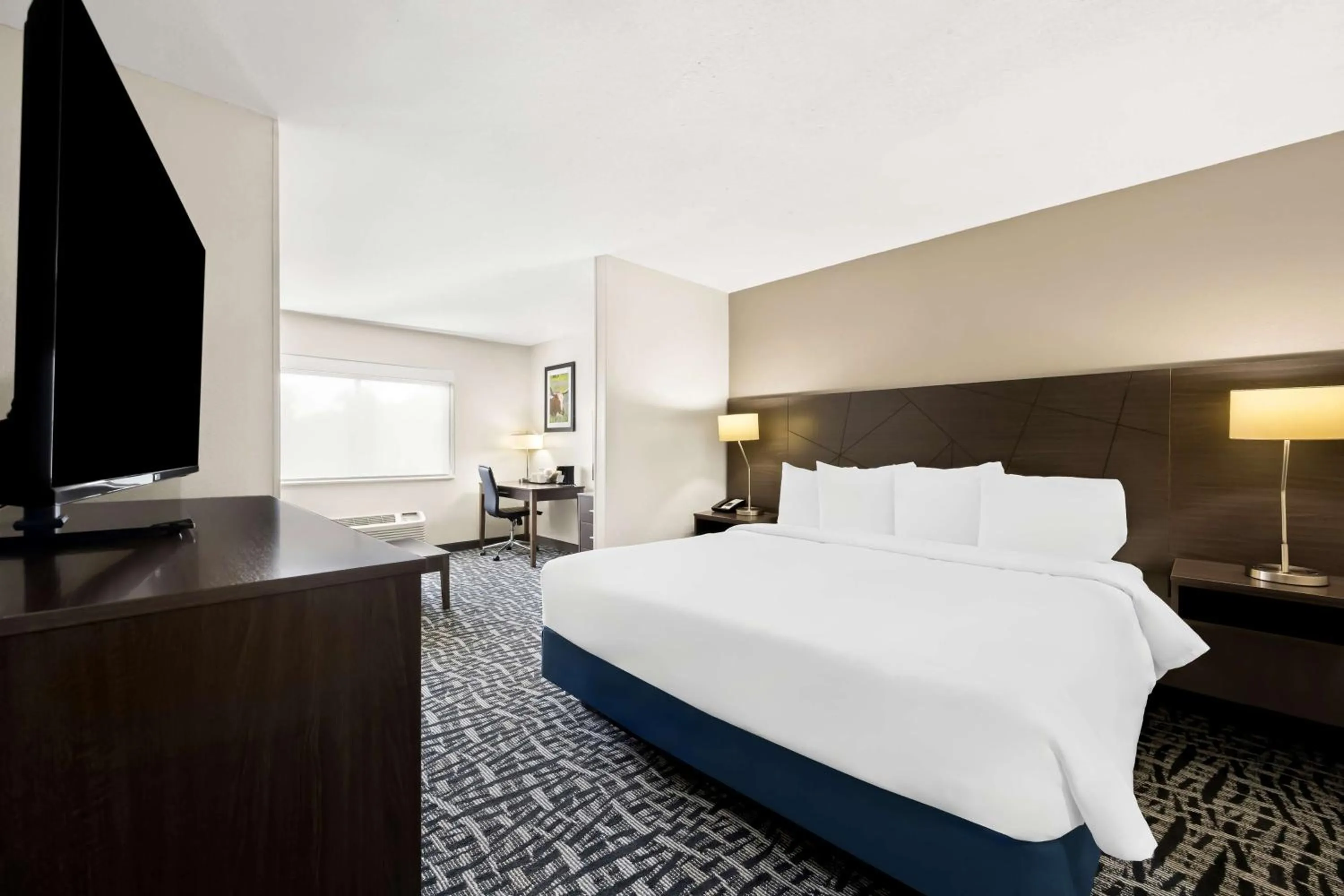 King Suite with Roll - Disability Access - In Shower in Best Western Bryan College Station