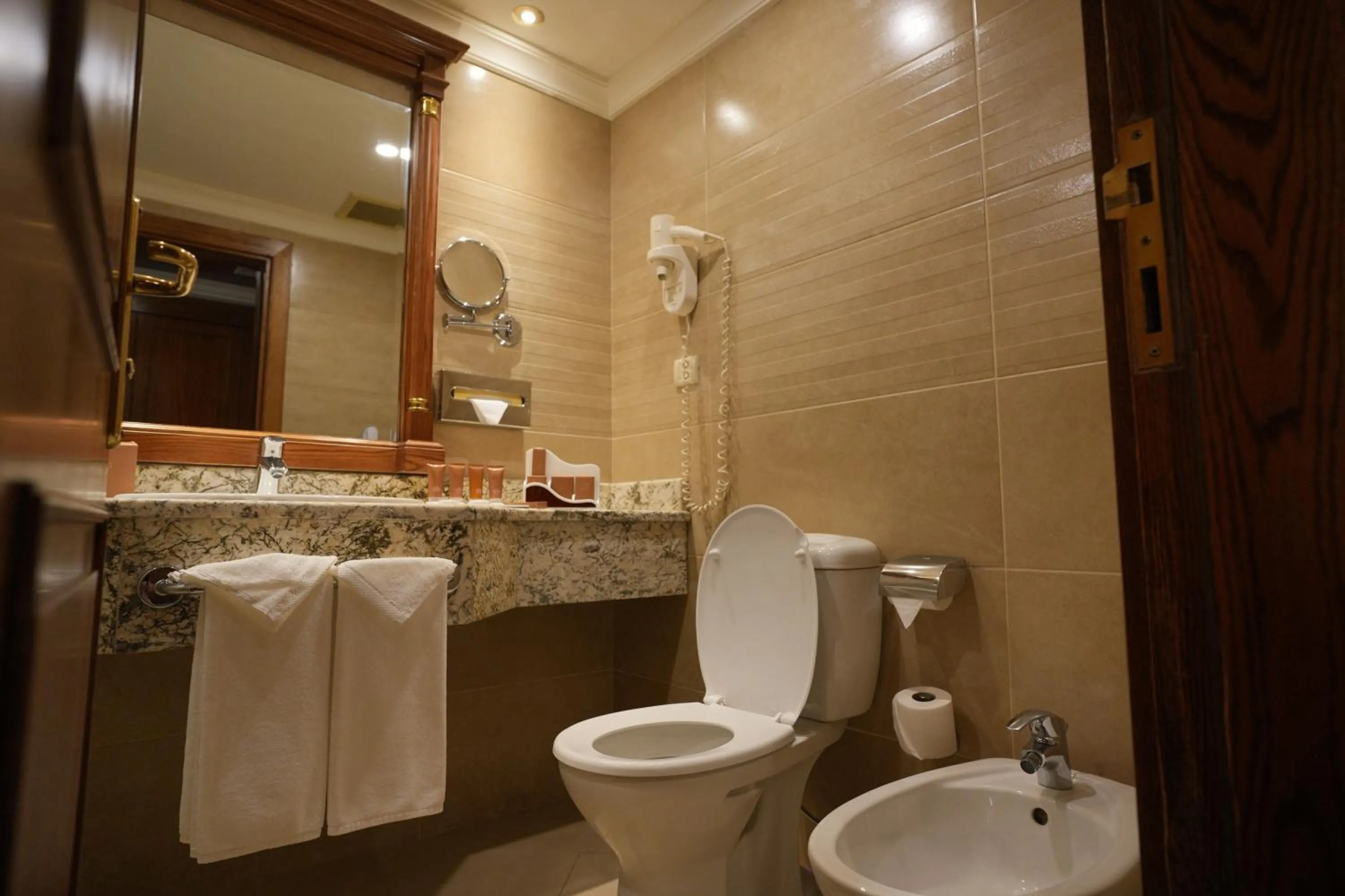 Standard Double Room or Twin Room in Bristol Hotel