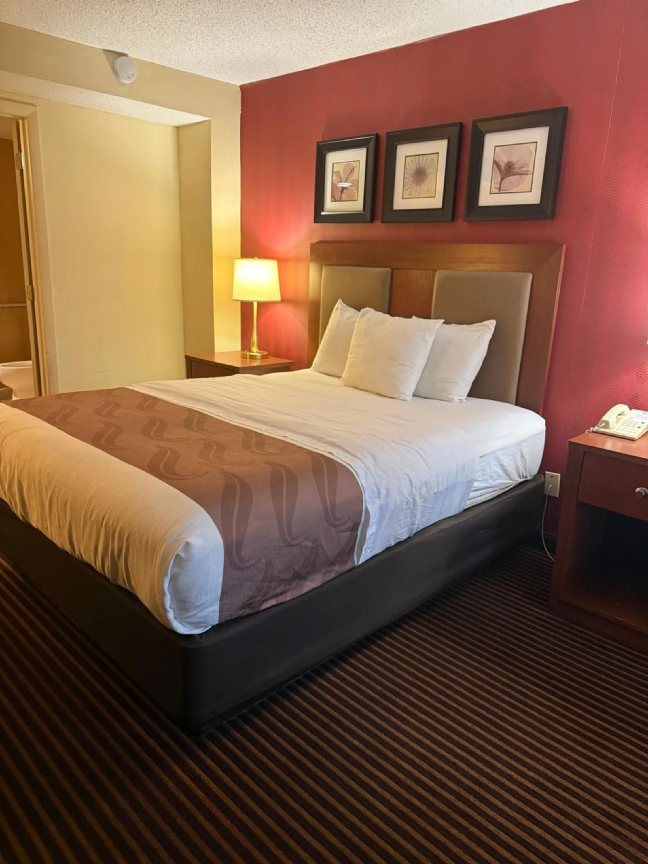 Queen Room - Accessible/Nonsmoking in Hotel Hanna