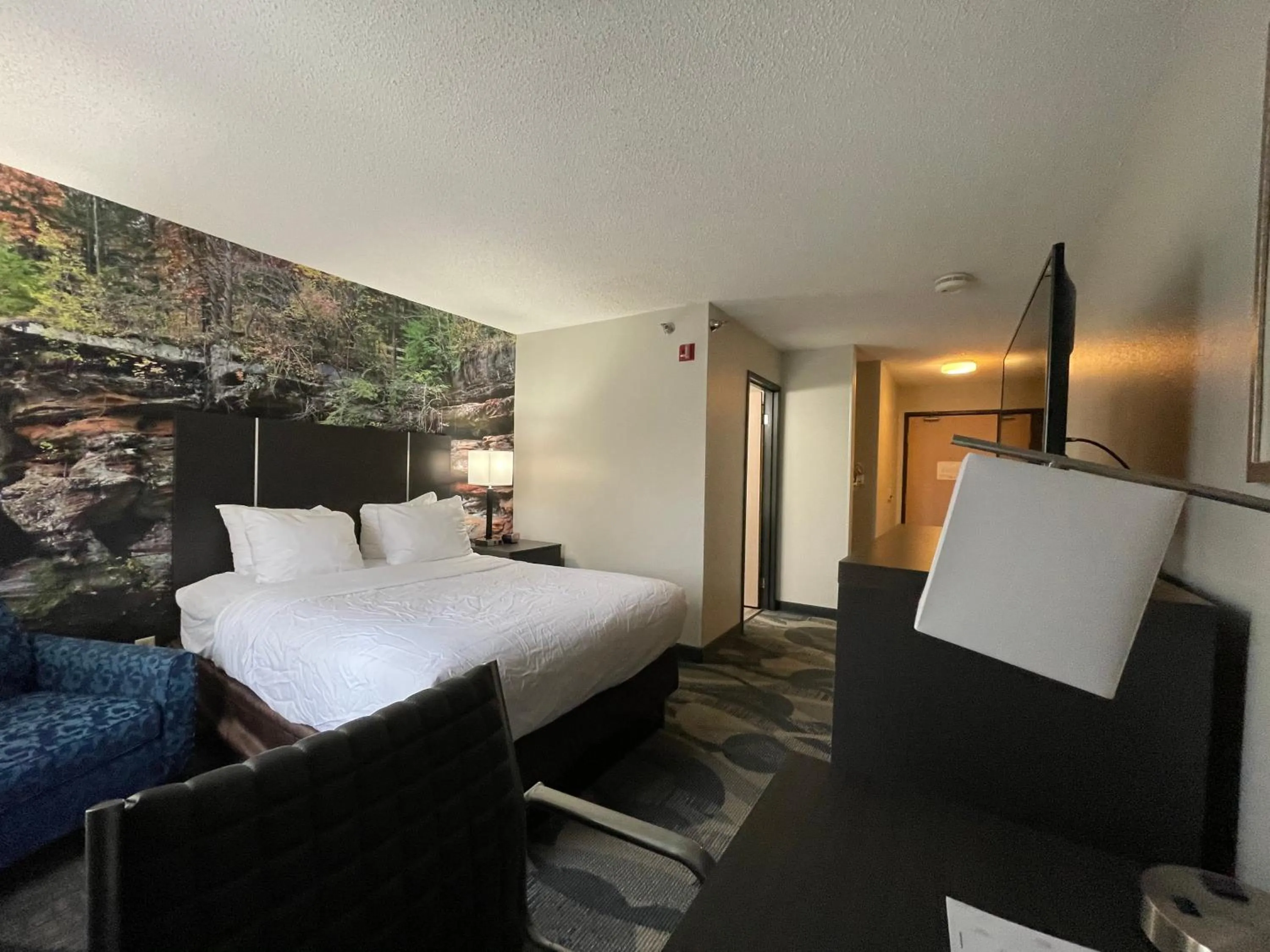 King Room - Accessible/Non-Smoking in Clarion Inn Fairborn - Dayton near Wright Patterson