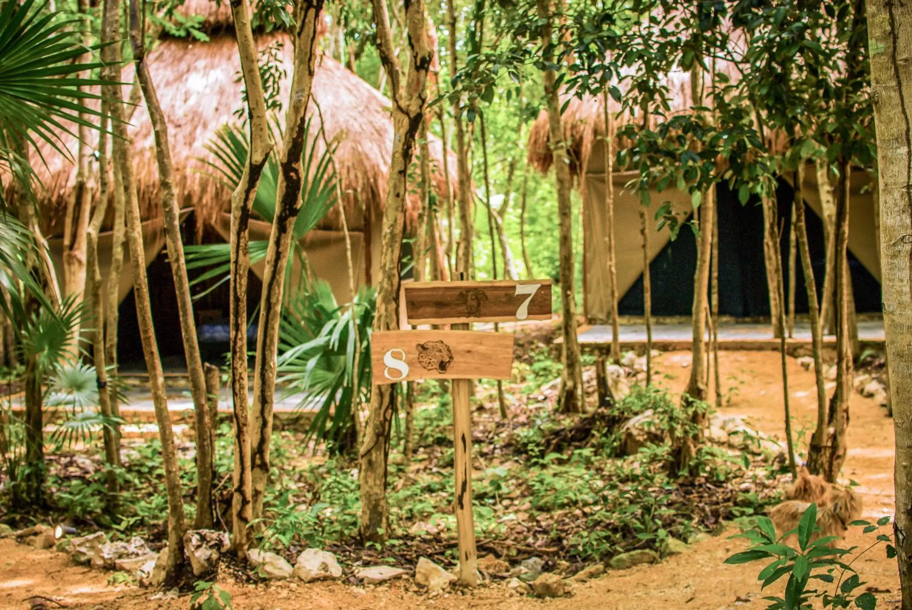 Akumal Natura Glamping Akumal Natura Glamping